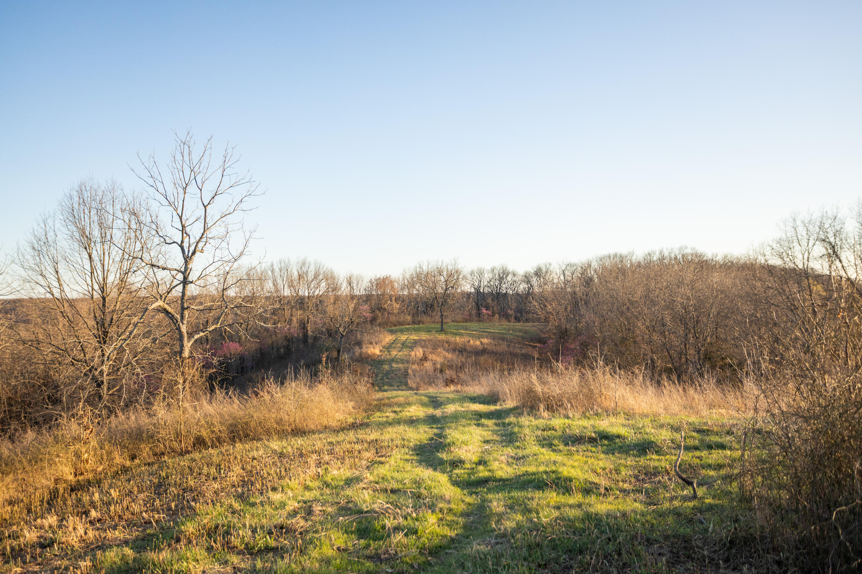8352 Chadwick Road Property Photo 66