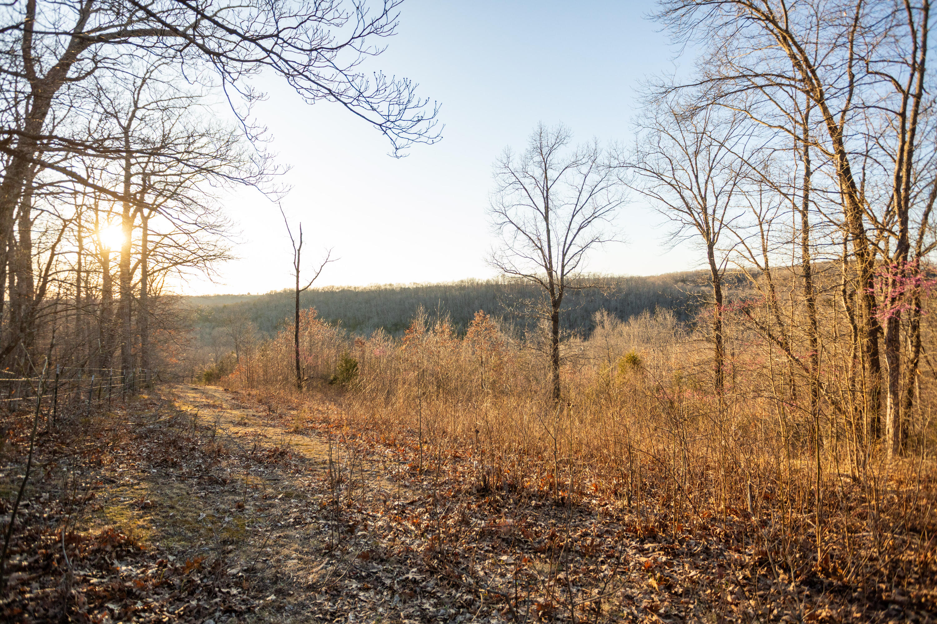 8352 Chadwick Road Property Photo 67