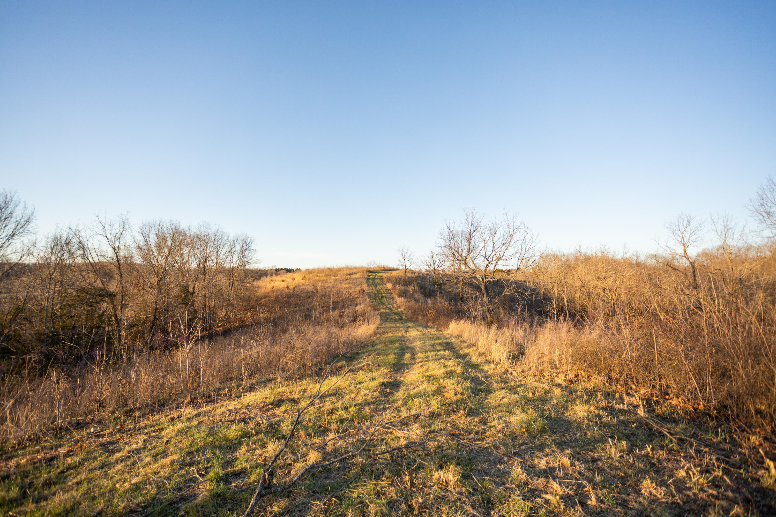 8352 Chadwick Road Property Photo 68
