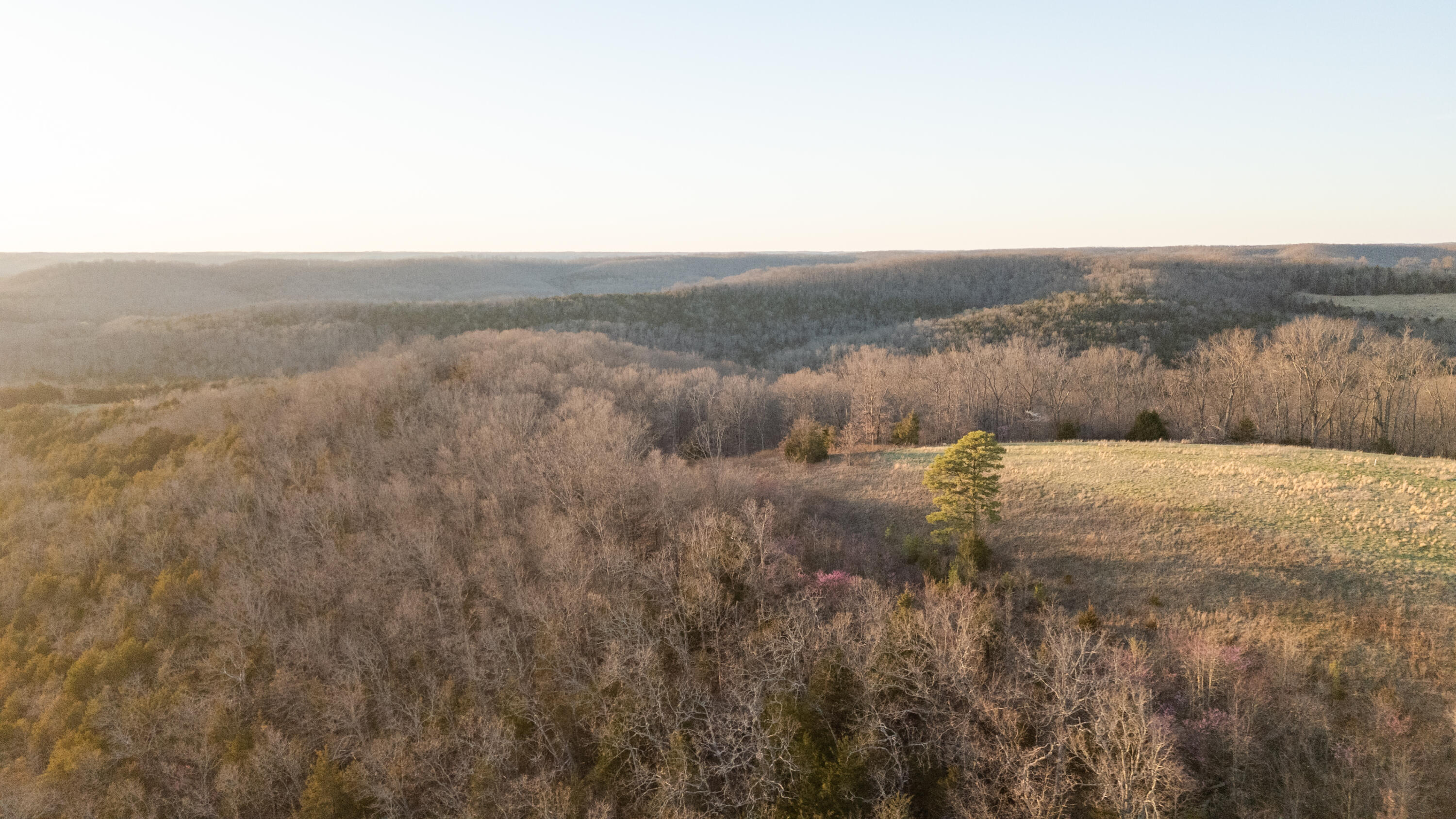 6955 Chadwick Road Property Photo 41