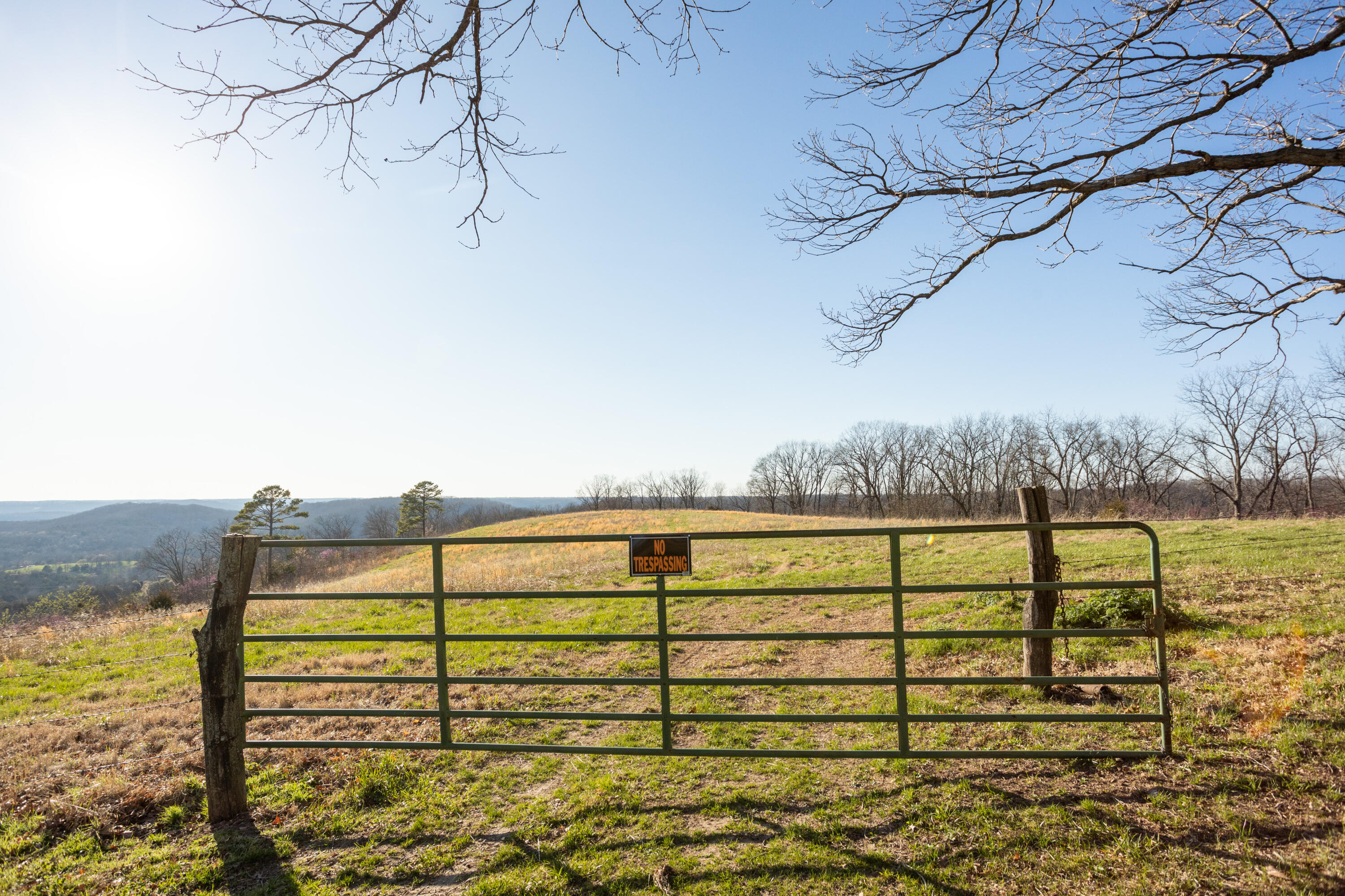 6955 Chadwick Road Property Photo 47