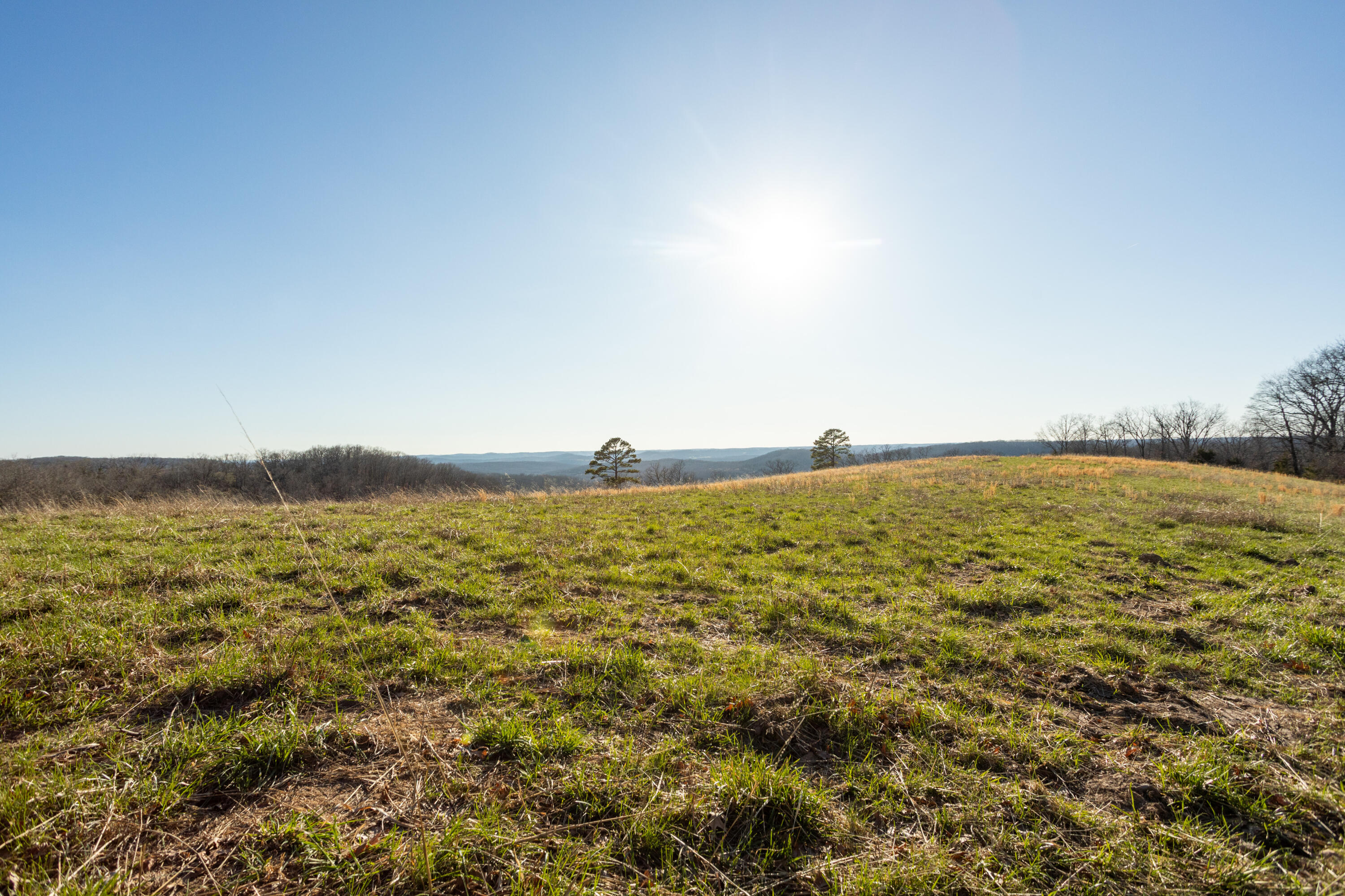 6955 Chadwick Road Property Photo 48