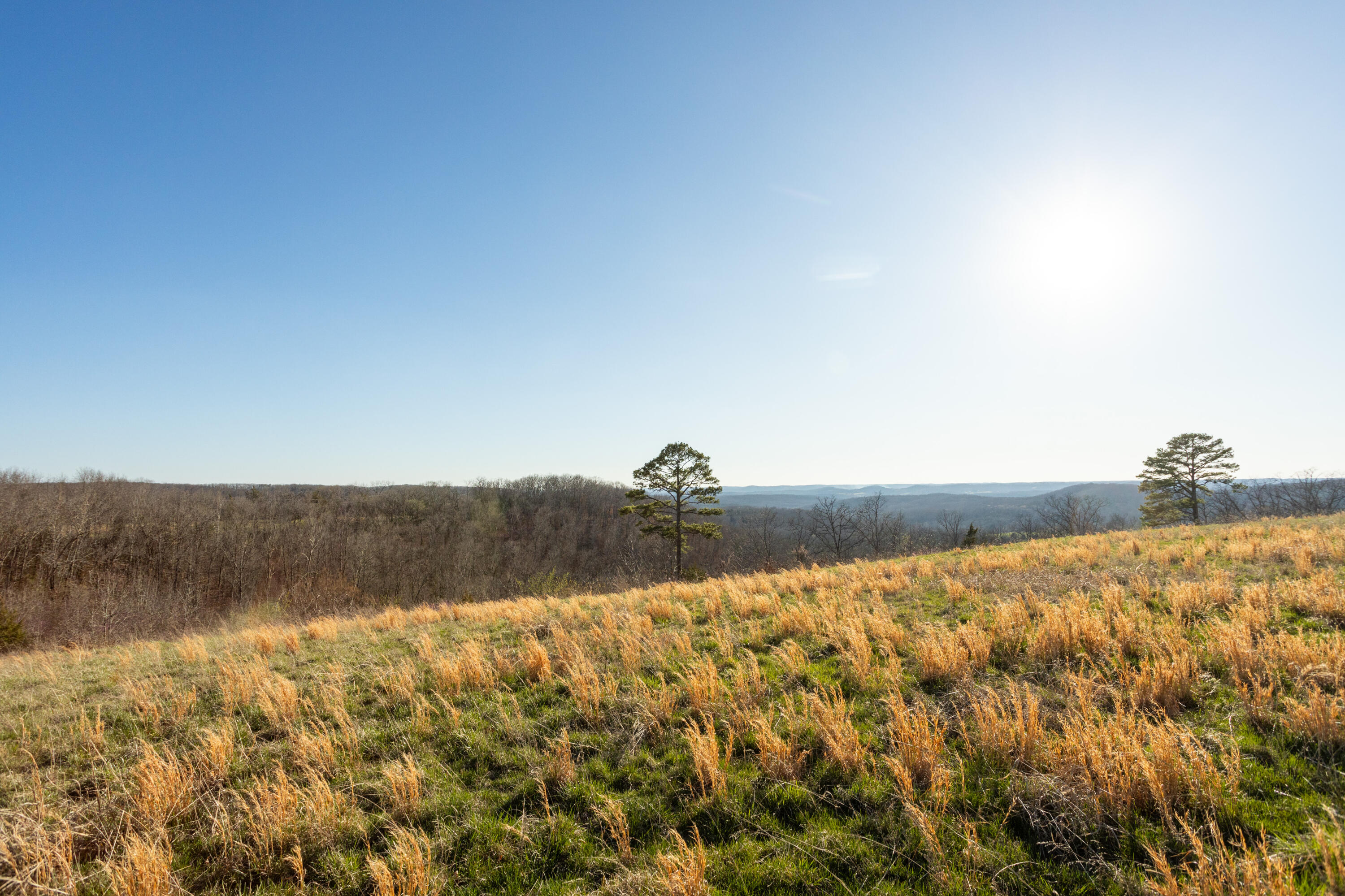 6955 Chadwick Road Property Photo 49