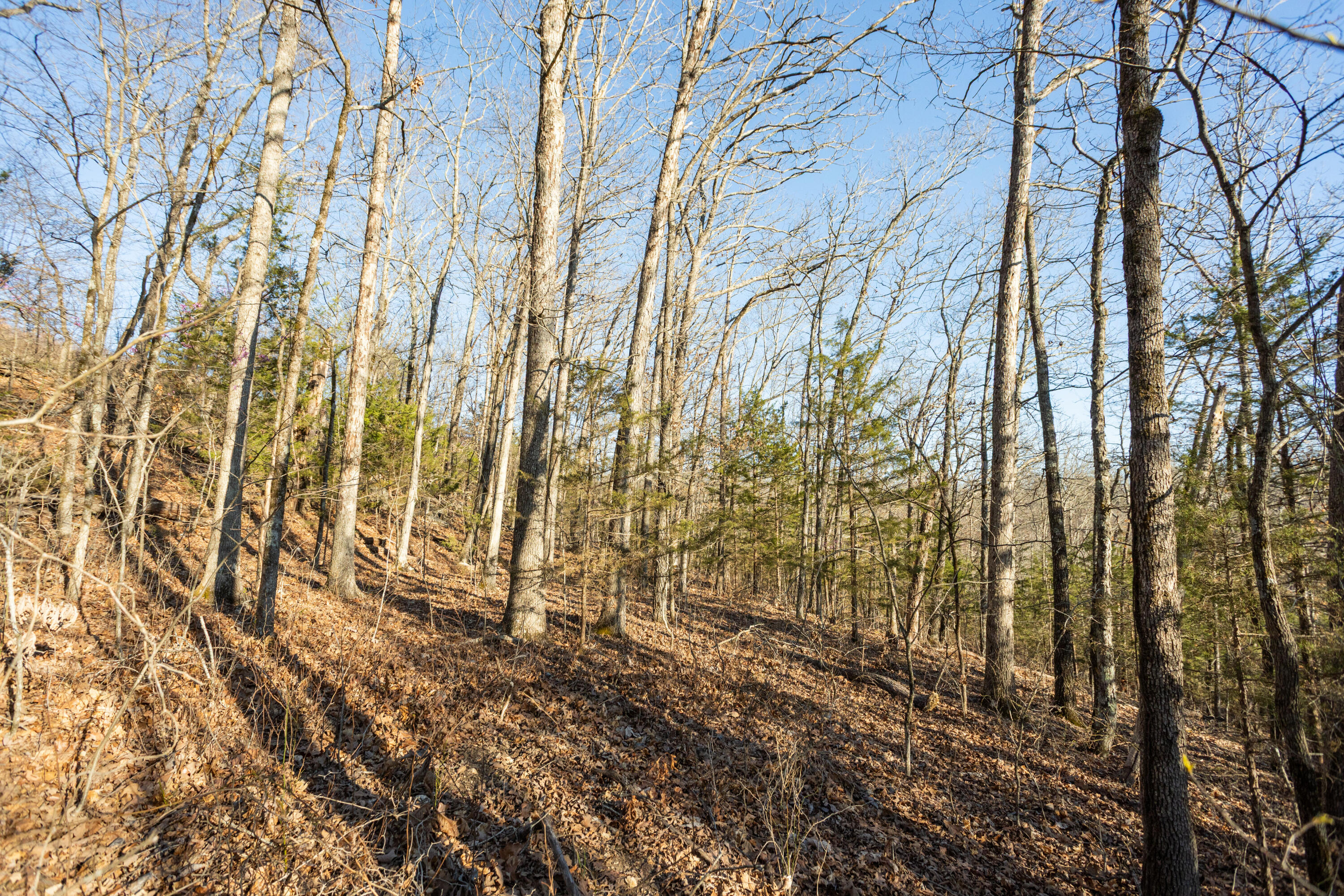 6955 Chadwick Road Property Photo 50