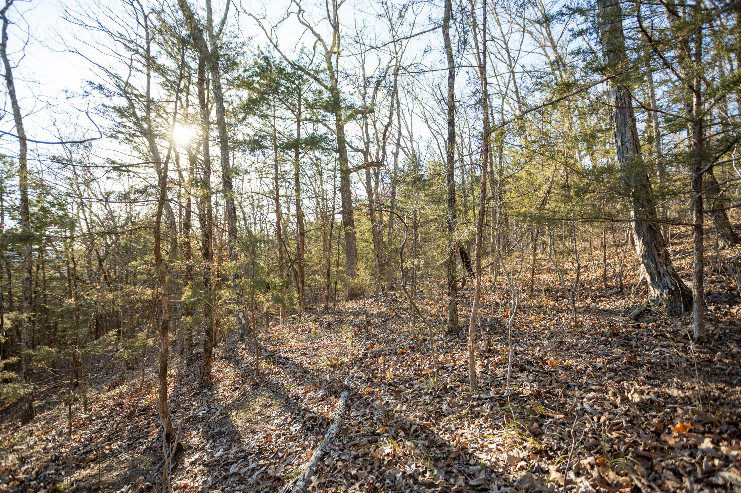 6955 Chadwick Road Property Photo 51