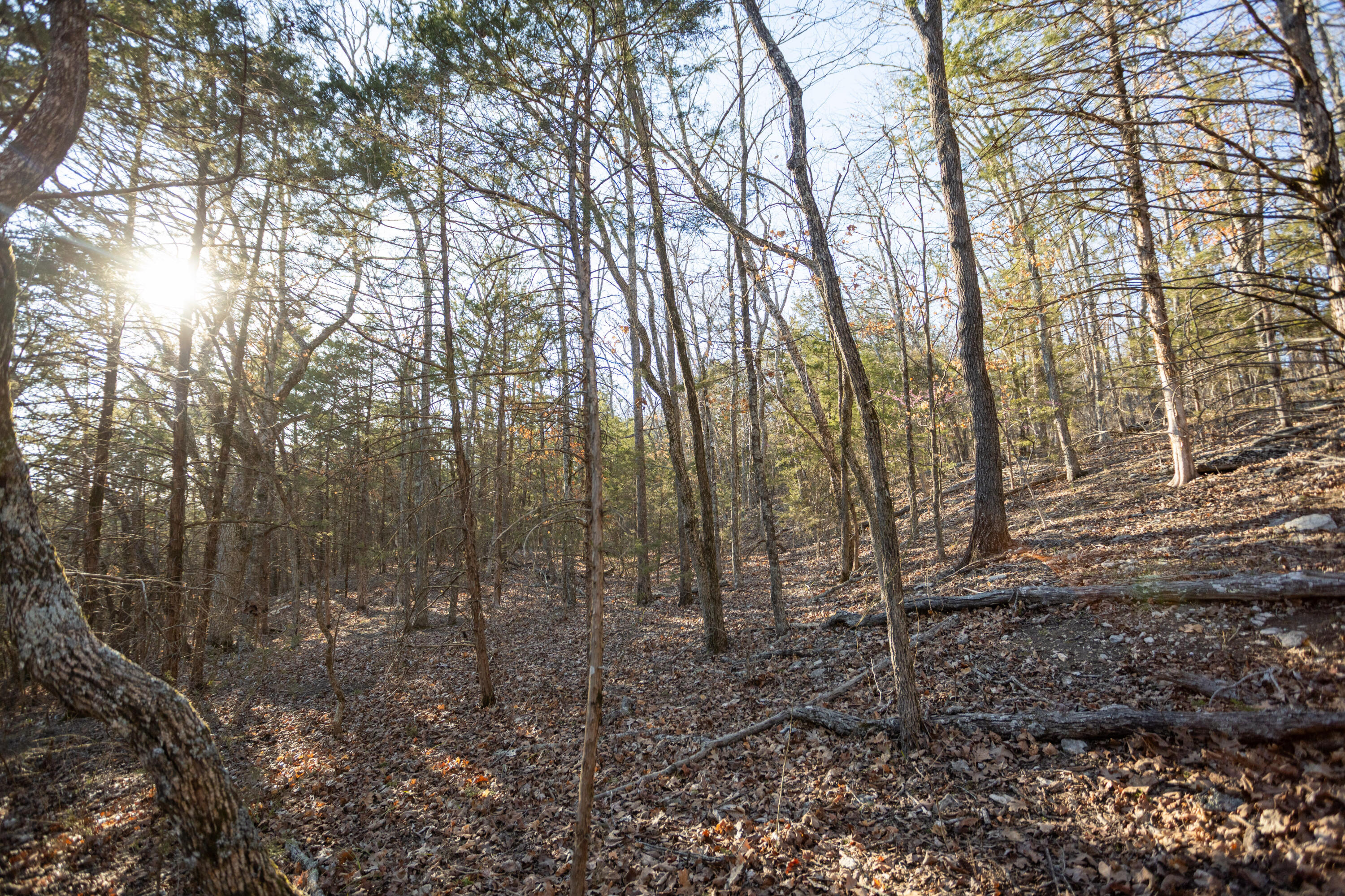 6955 Chadwick Road Property Photo 52