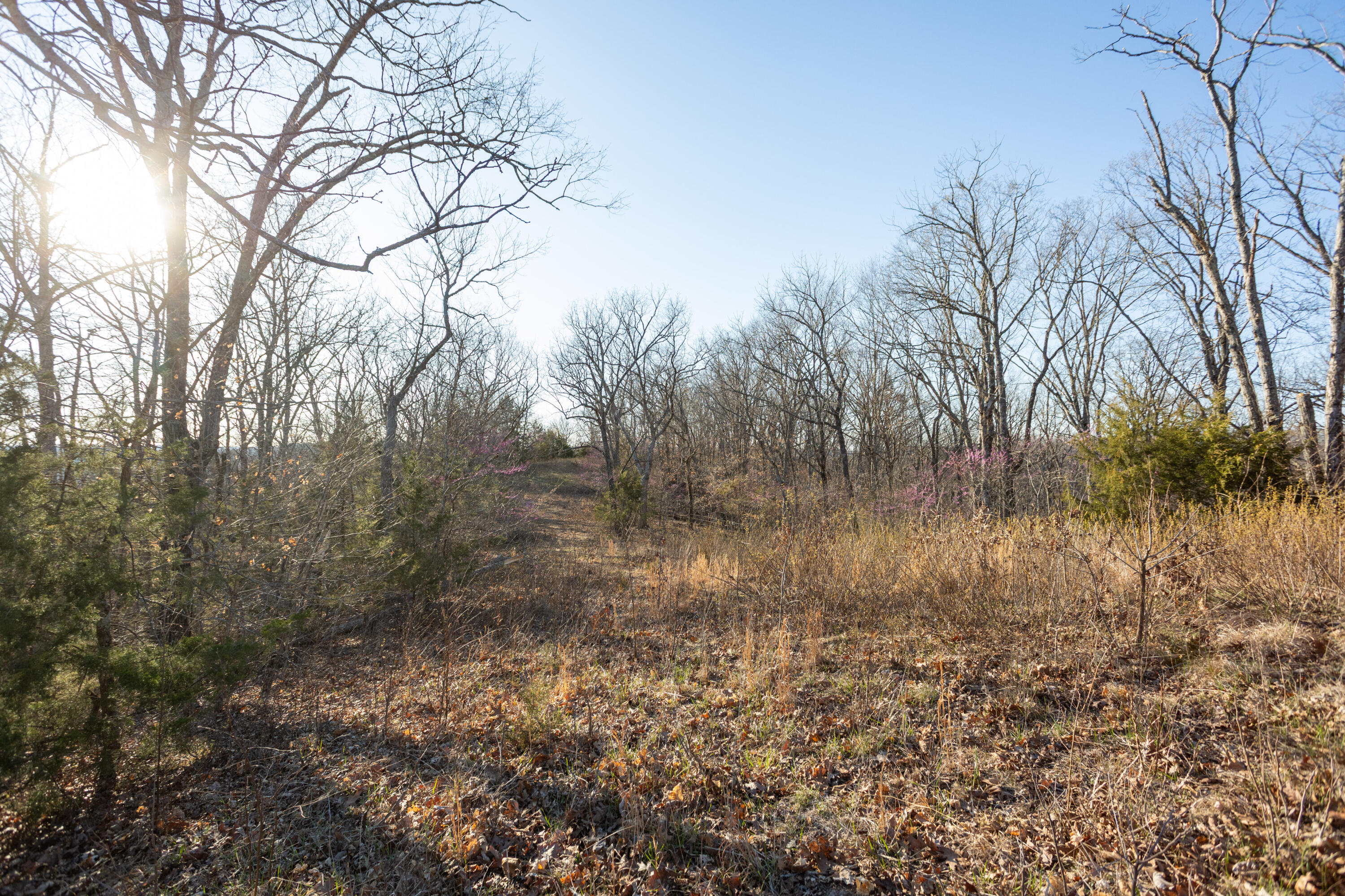 6955 Chadwick Road Property Photo 54