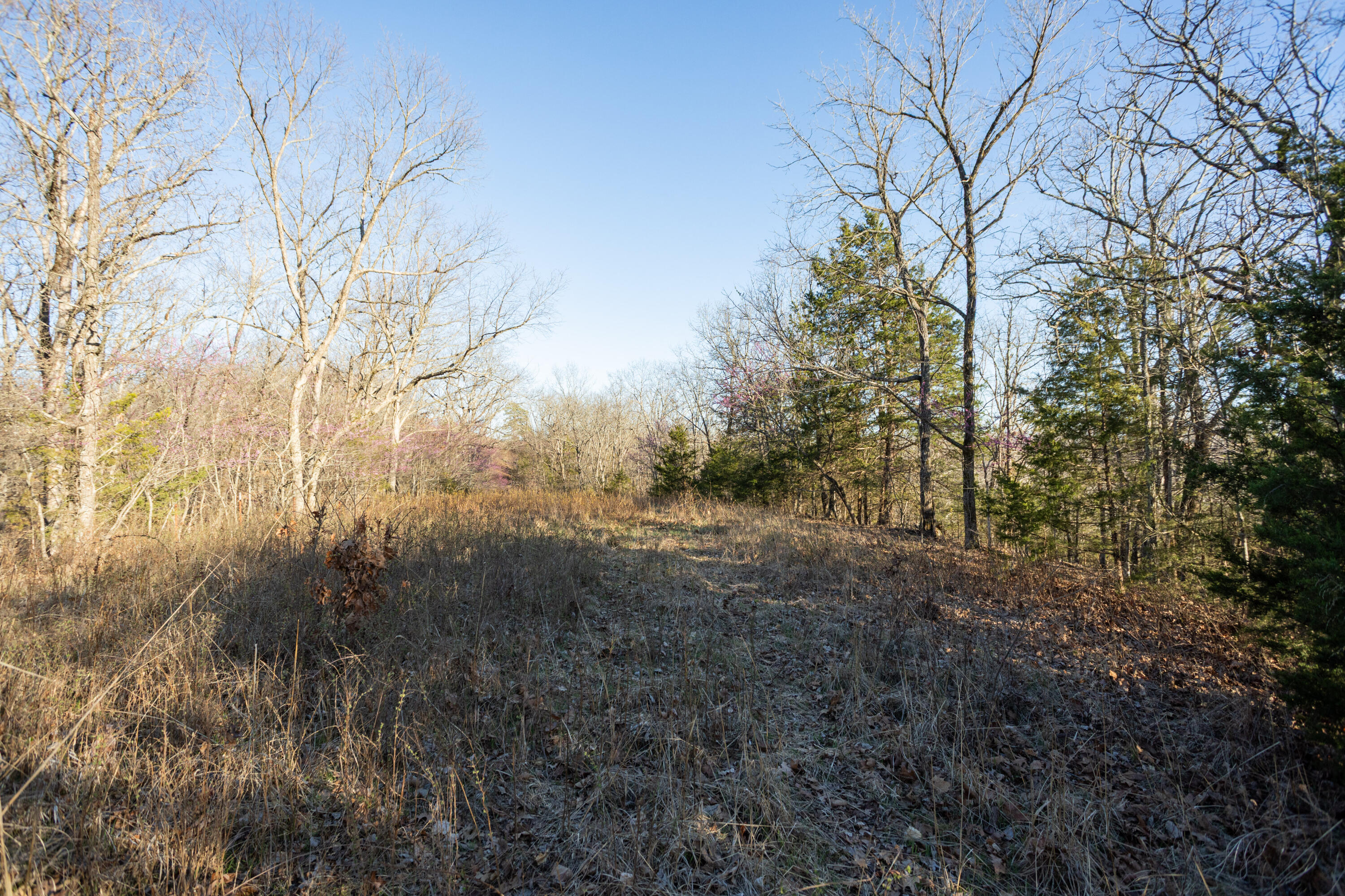 6955 Chadwick Road Property Photo 55