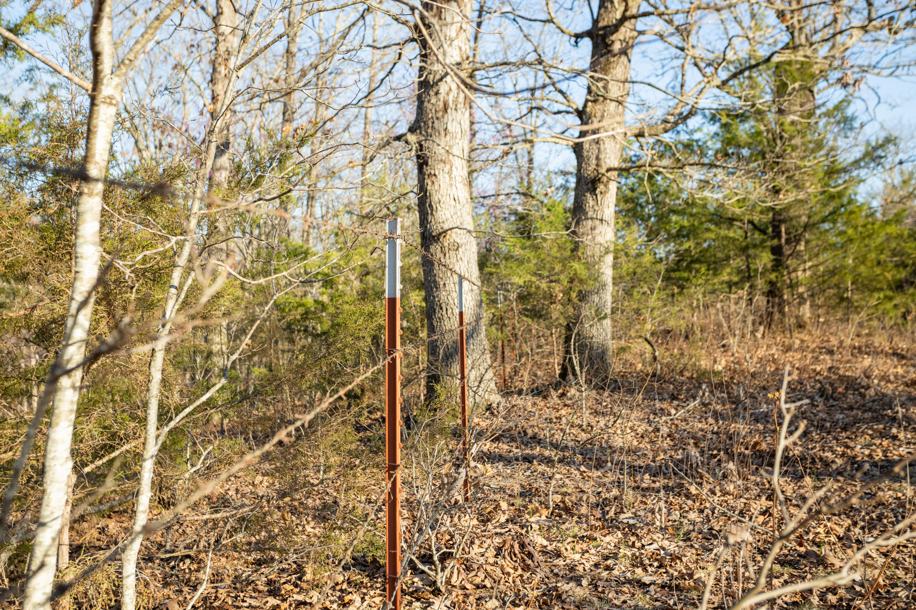 6955 Chadwick Road Property Photo 56