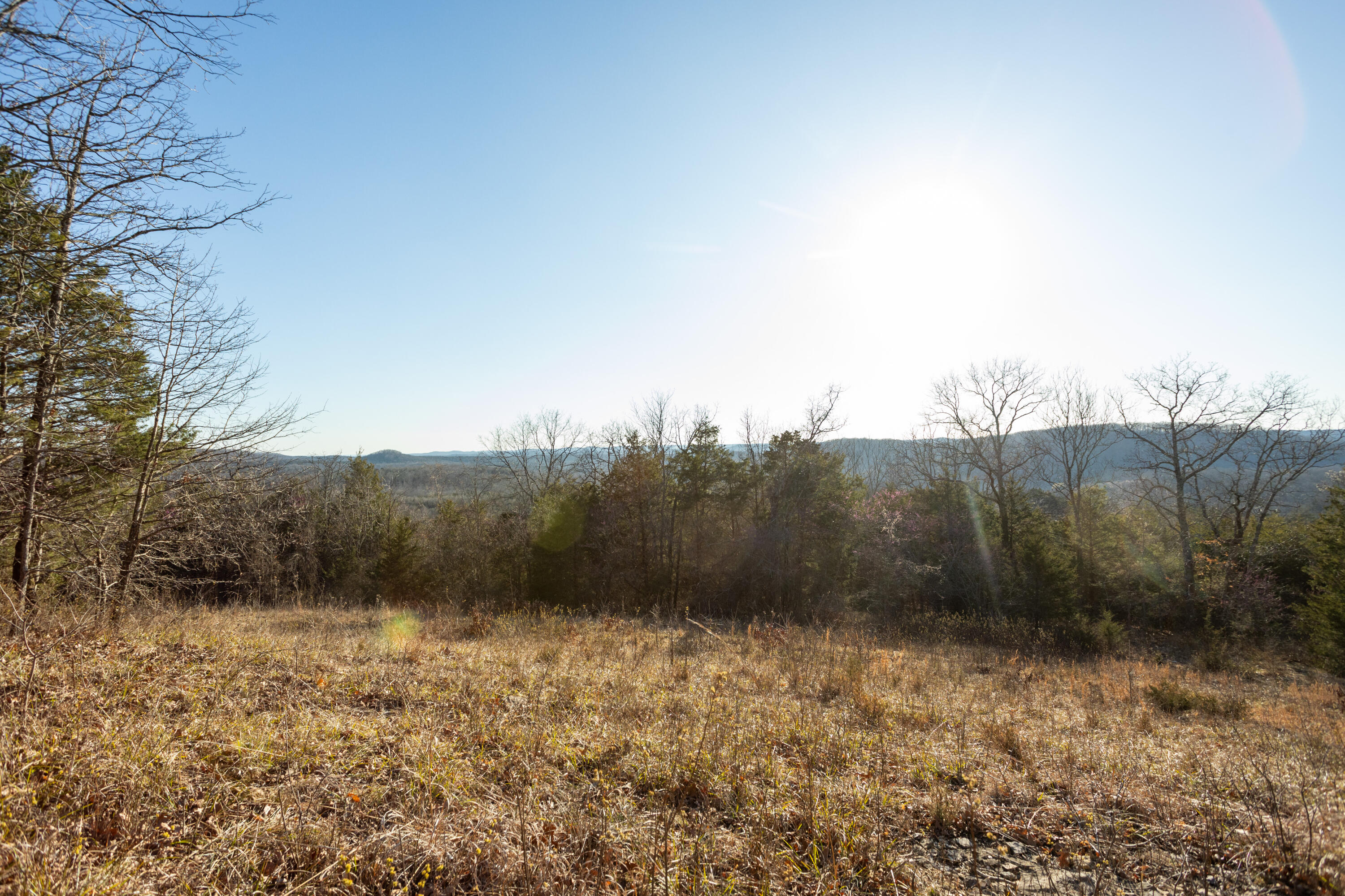 6955 Chadwick Road Property Photo 57