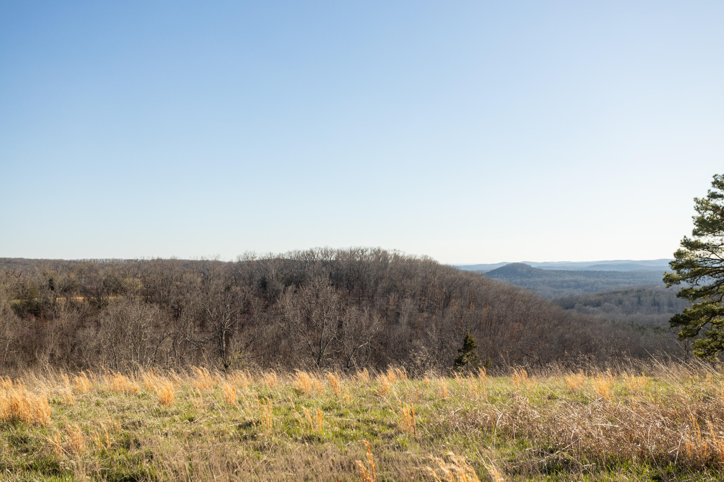 6955 Chadwick Road Property Photo 58