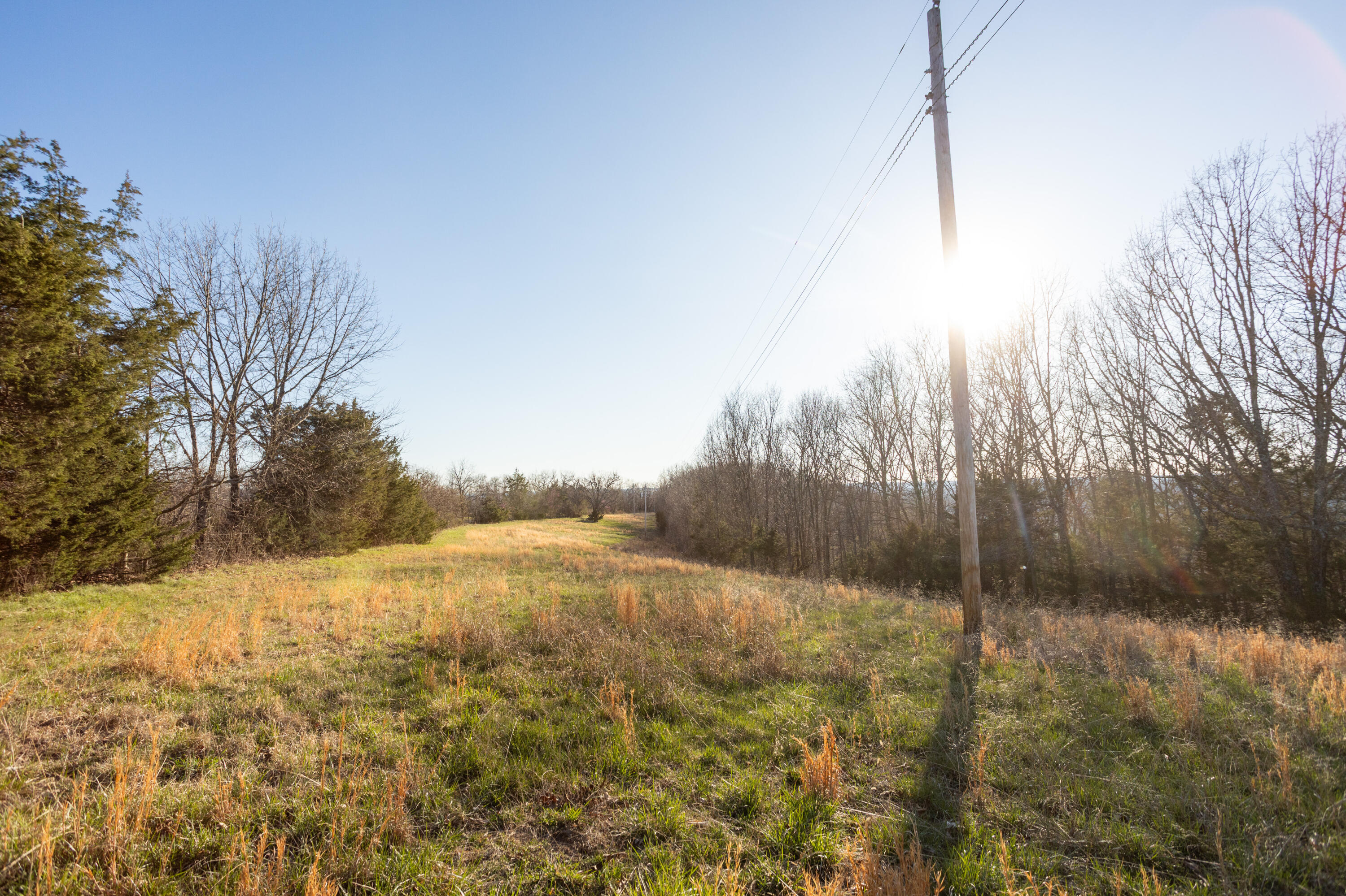 6955 Chadwick Road Property Photo 59