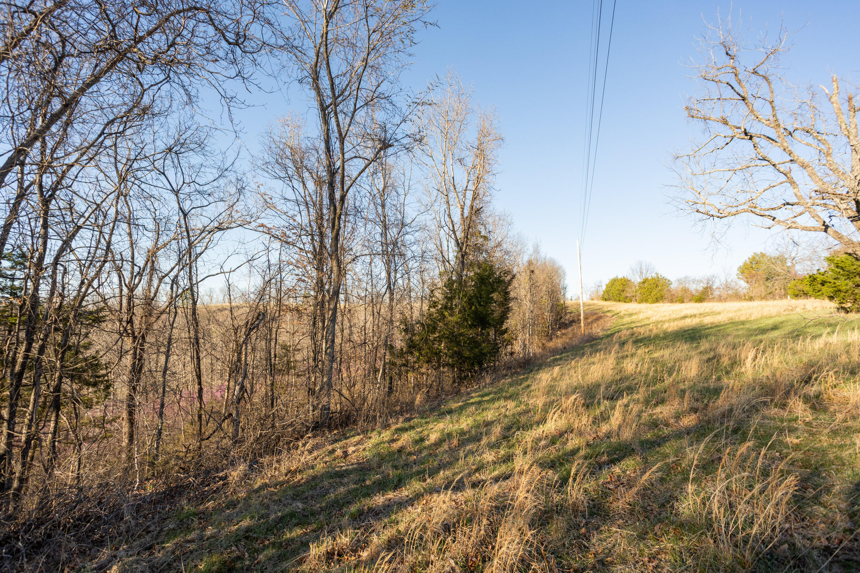 6955 Chadwick Road Property Photo 60