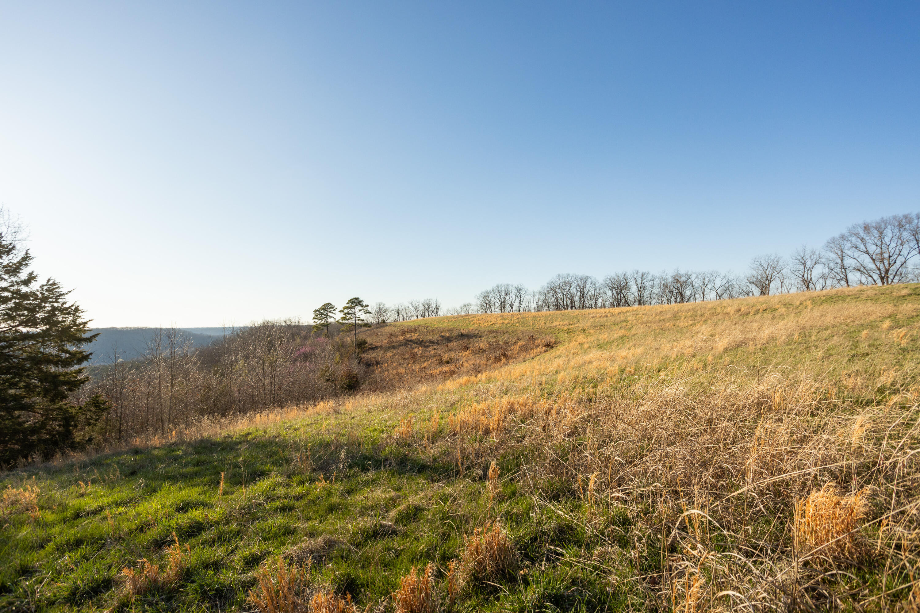 6955 Chadwick Road Property Photo 61