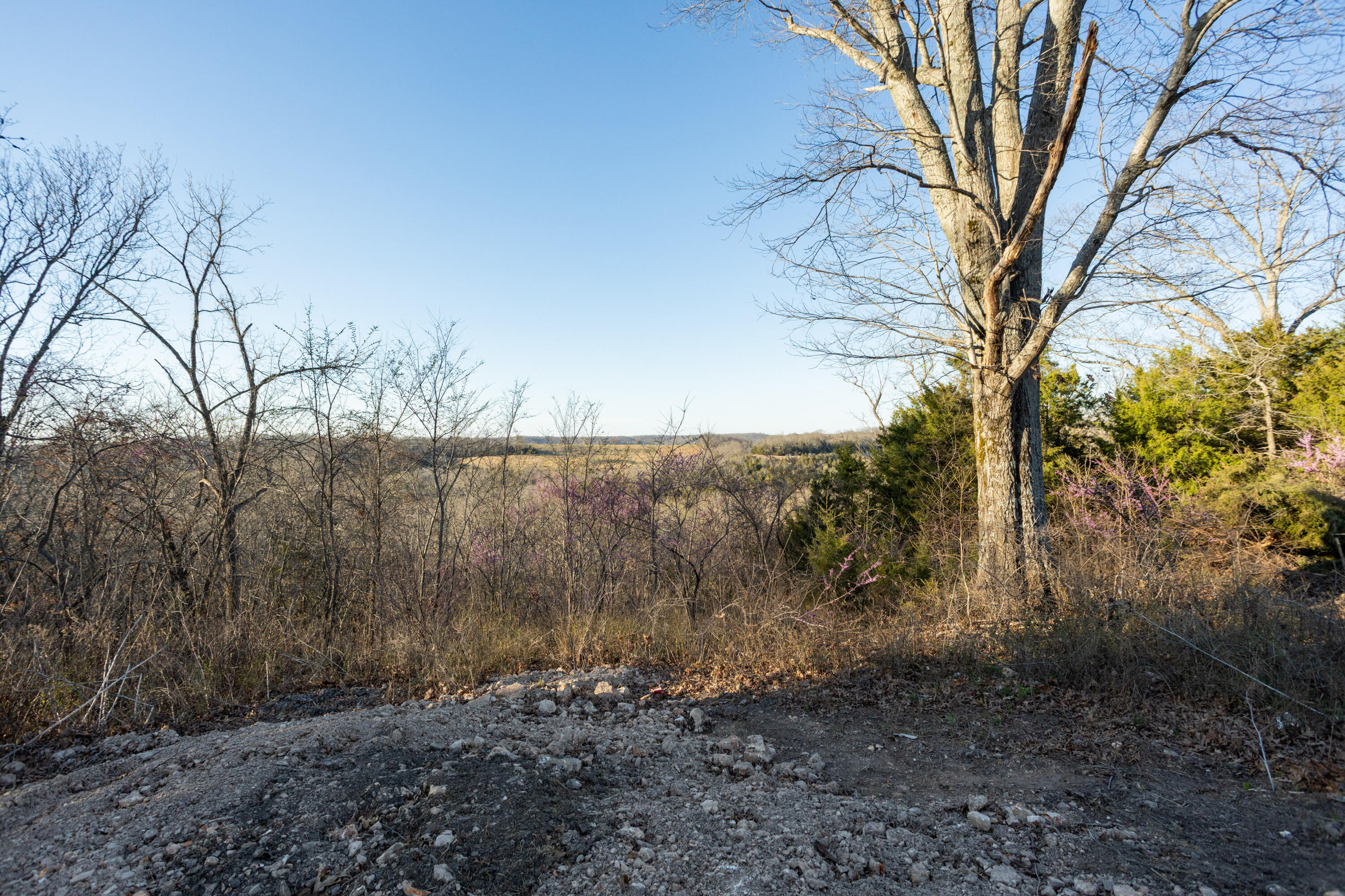 6955 Chadwick Road Property Photo 62