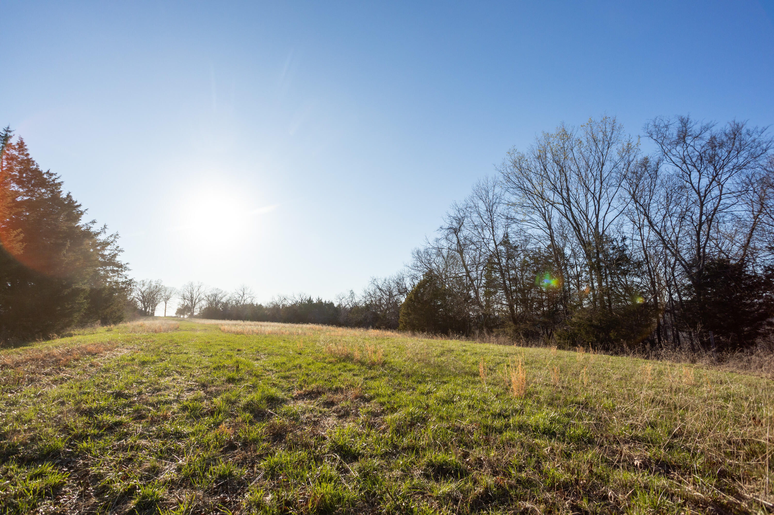 6955 Chadwick Road Property Photo 63
