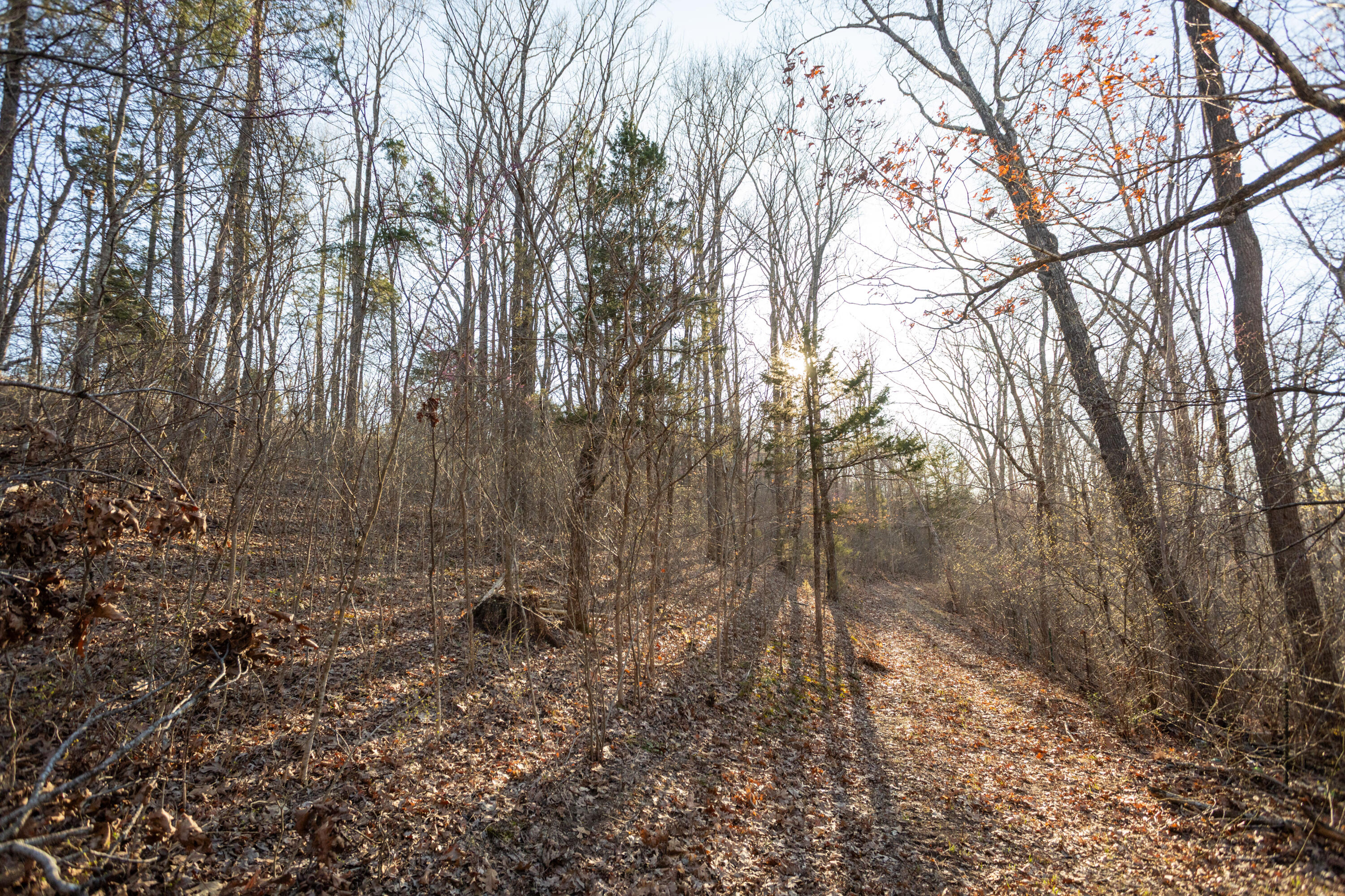 6955 Chadwick Road Property Photo 64