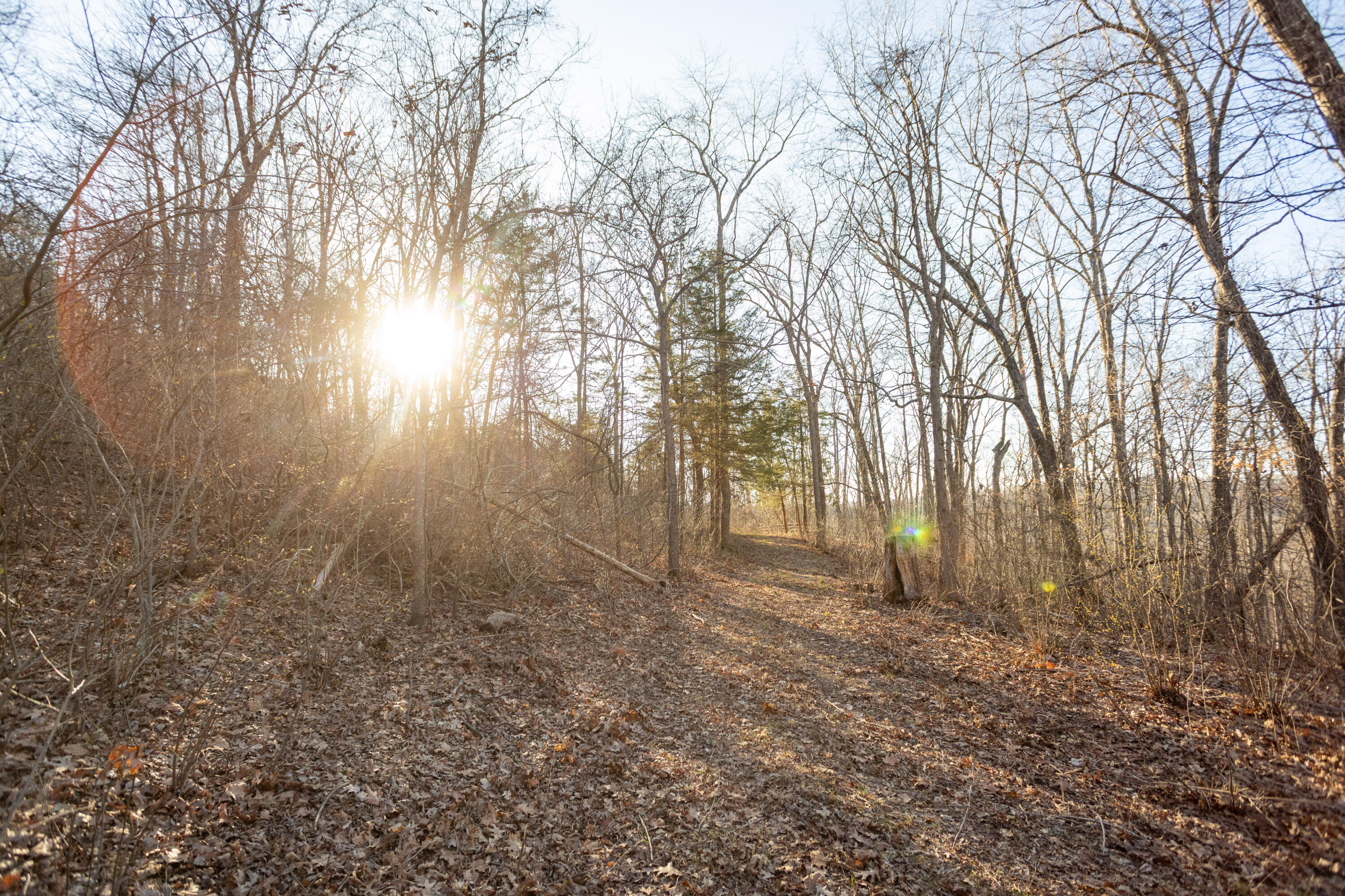 6955 Chadwick Road Property Photo 66