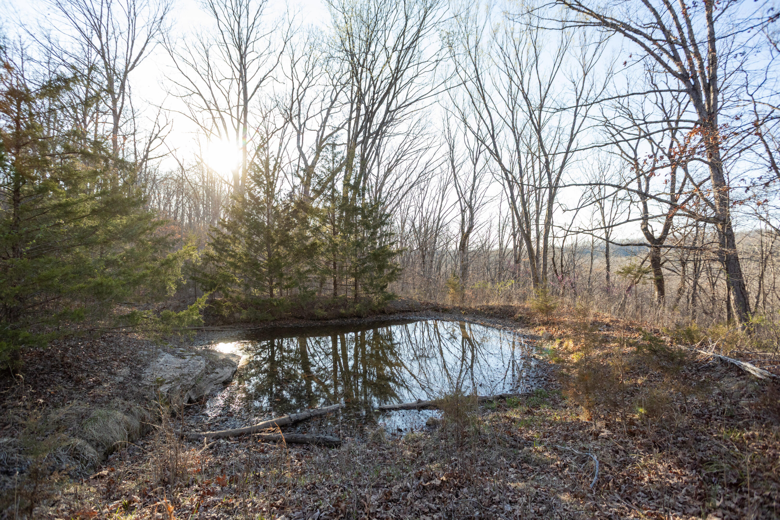 6955 Chadwick Road Property Photo 67