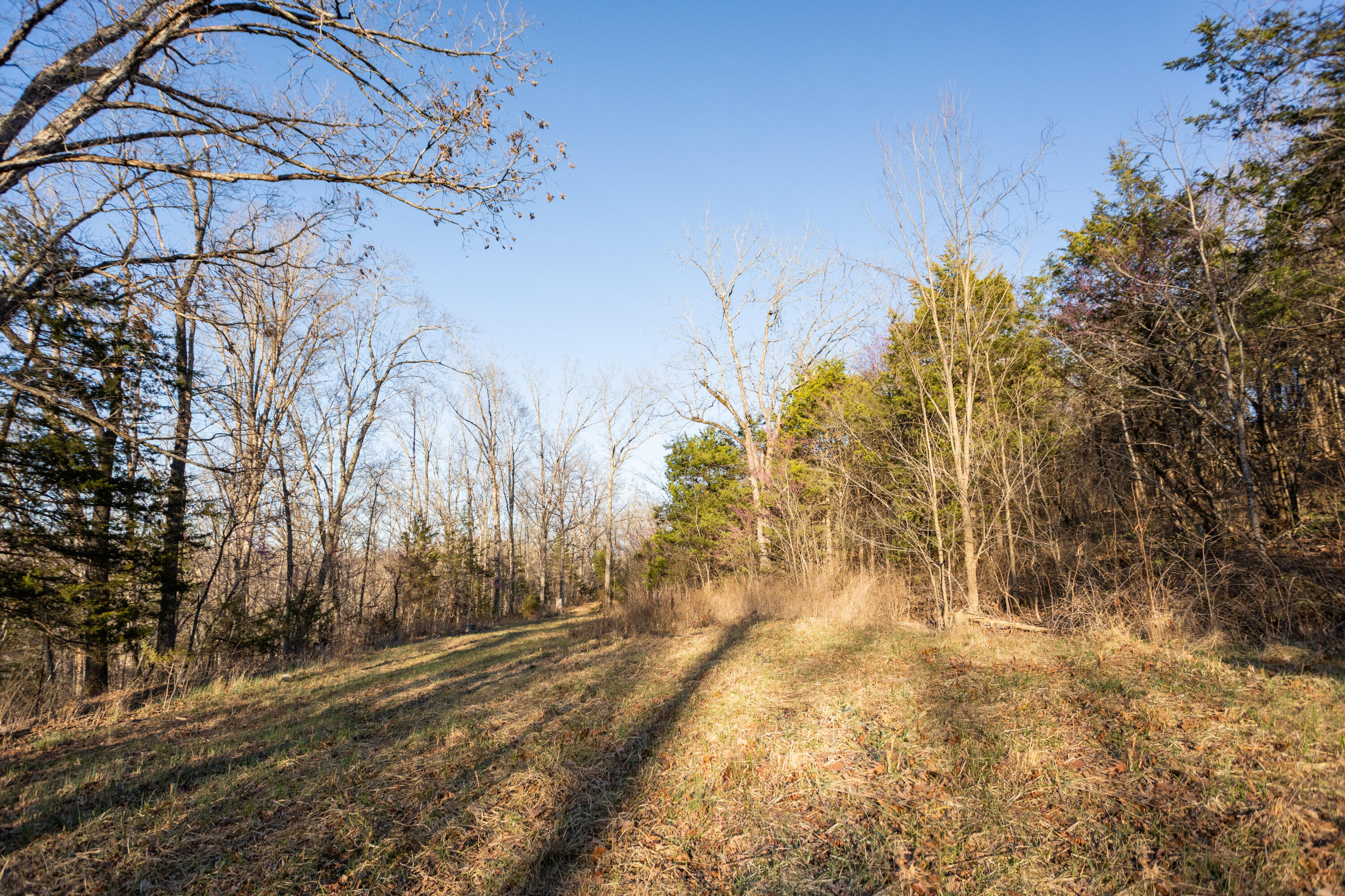 6955 Chadwick Road Property Photo 68