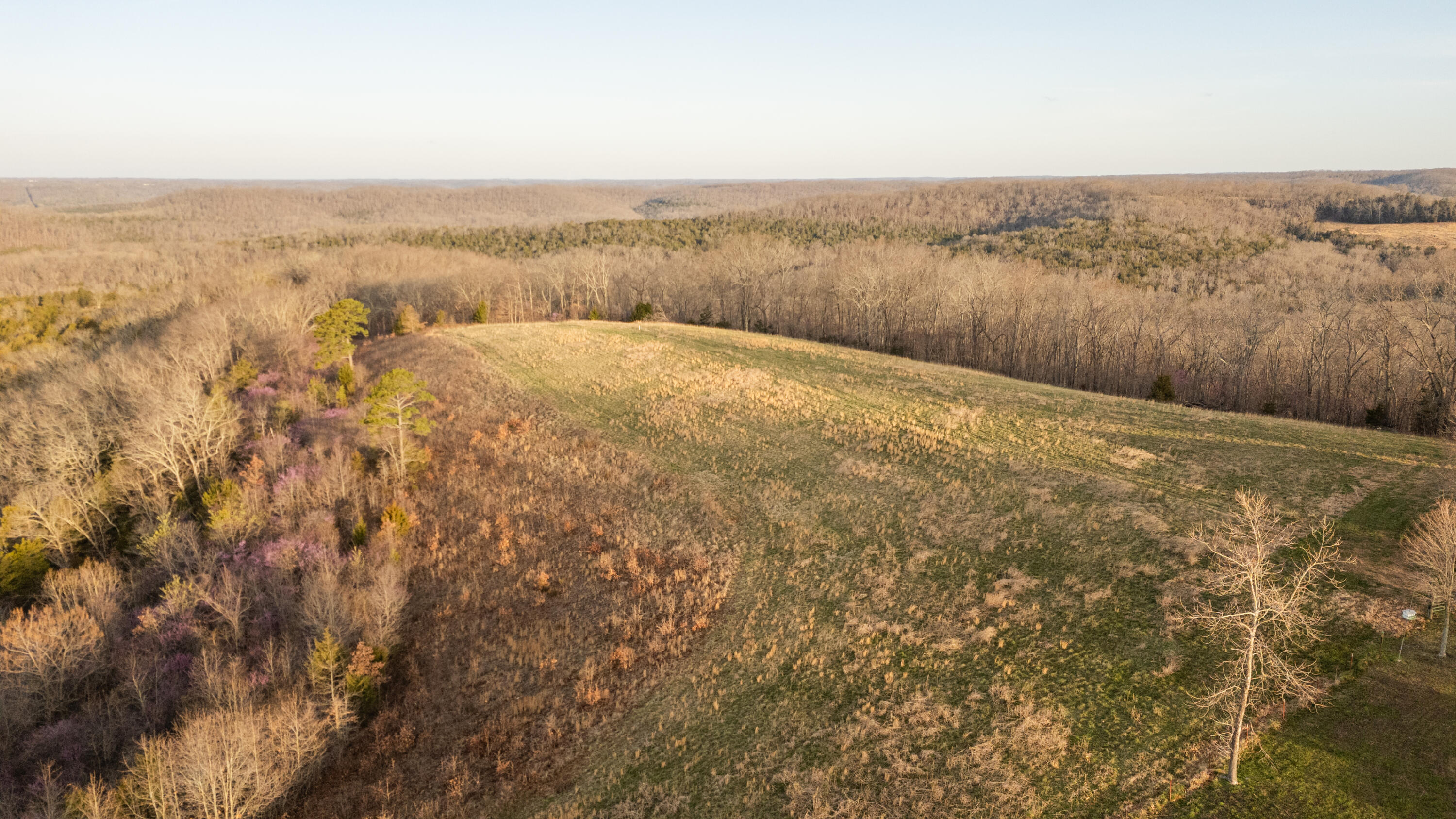 6955 Chadwick Road Property Photo 72