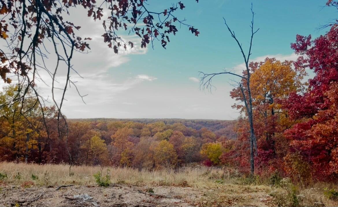 3813 Mt. Horeb Road Property Photo 39