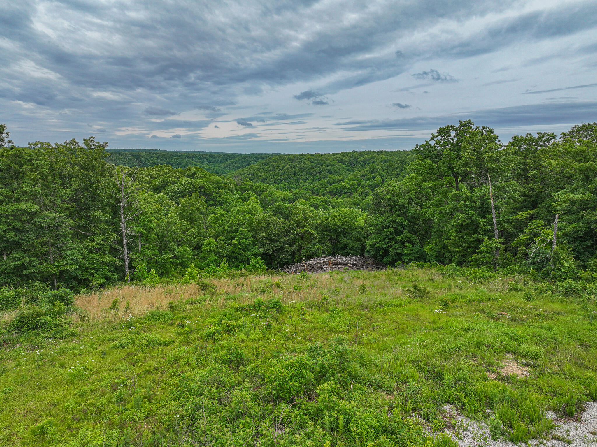 3813 Mt. Horeb Road Property Photo 53