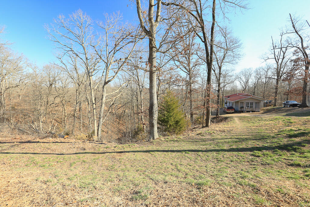 1366 Mountain Road Property Photo 6