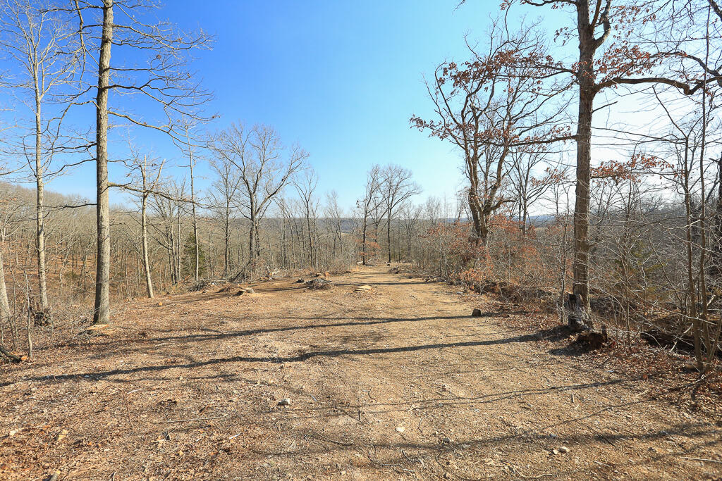 1366 Mountain Road Property Photo 11