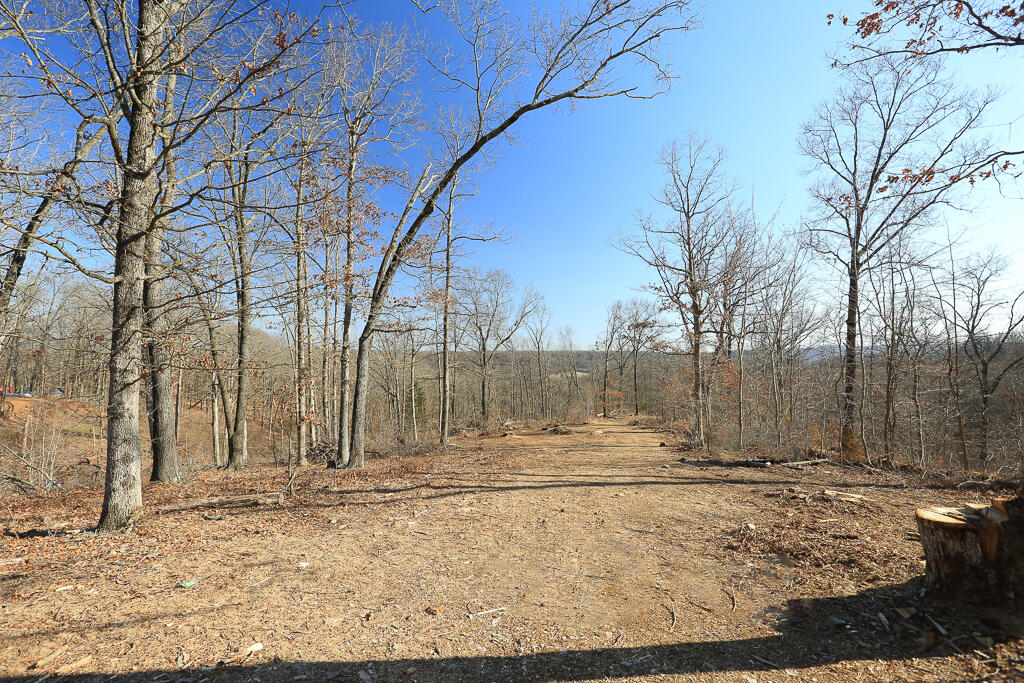 1366 Mountain Road Property Photo 12