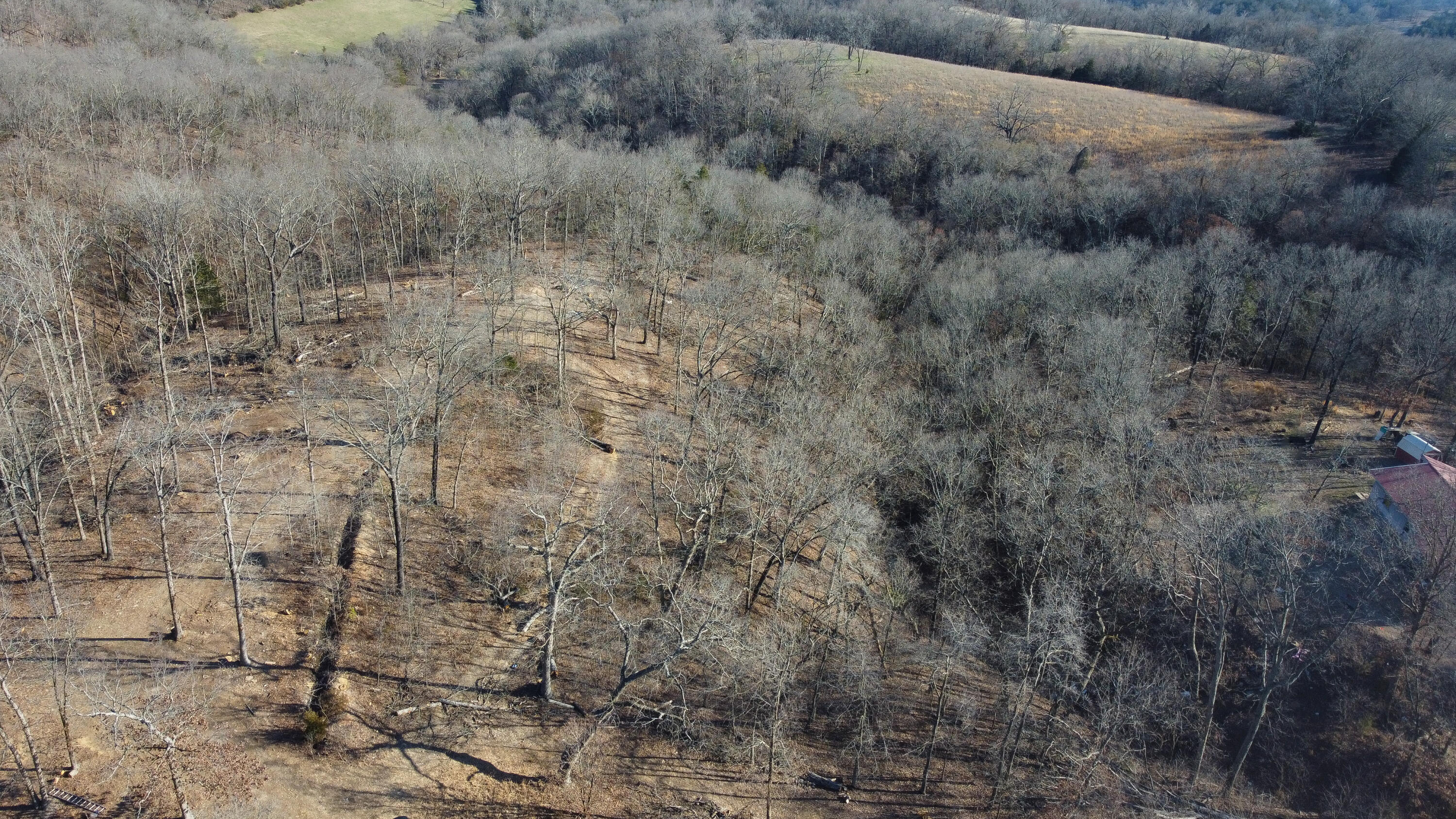 1366 Mountain Road Property Photo 14