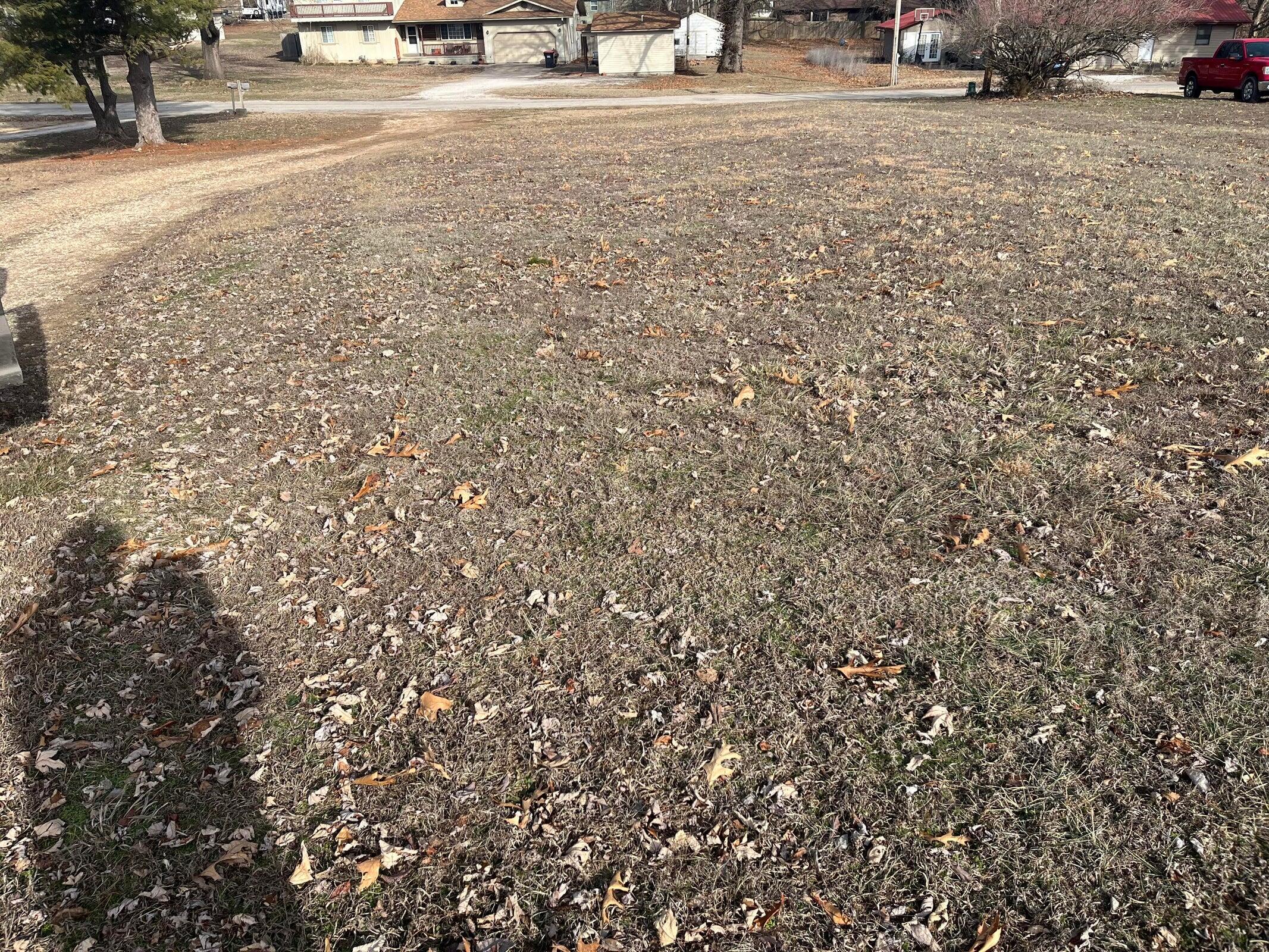 000 Maple Street Property Photo 8