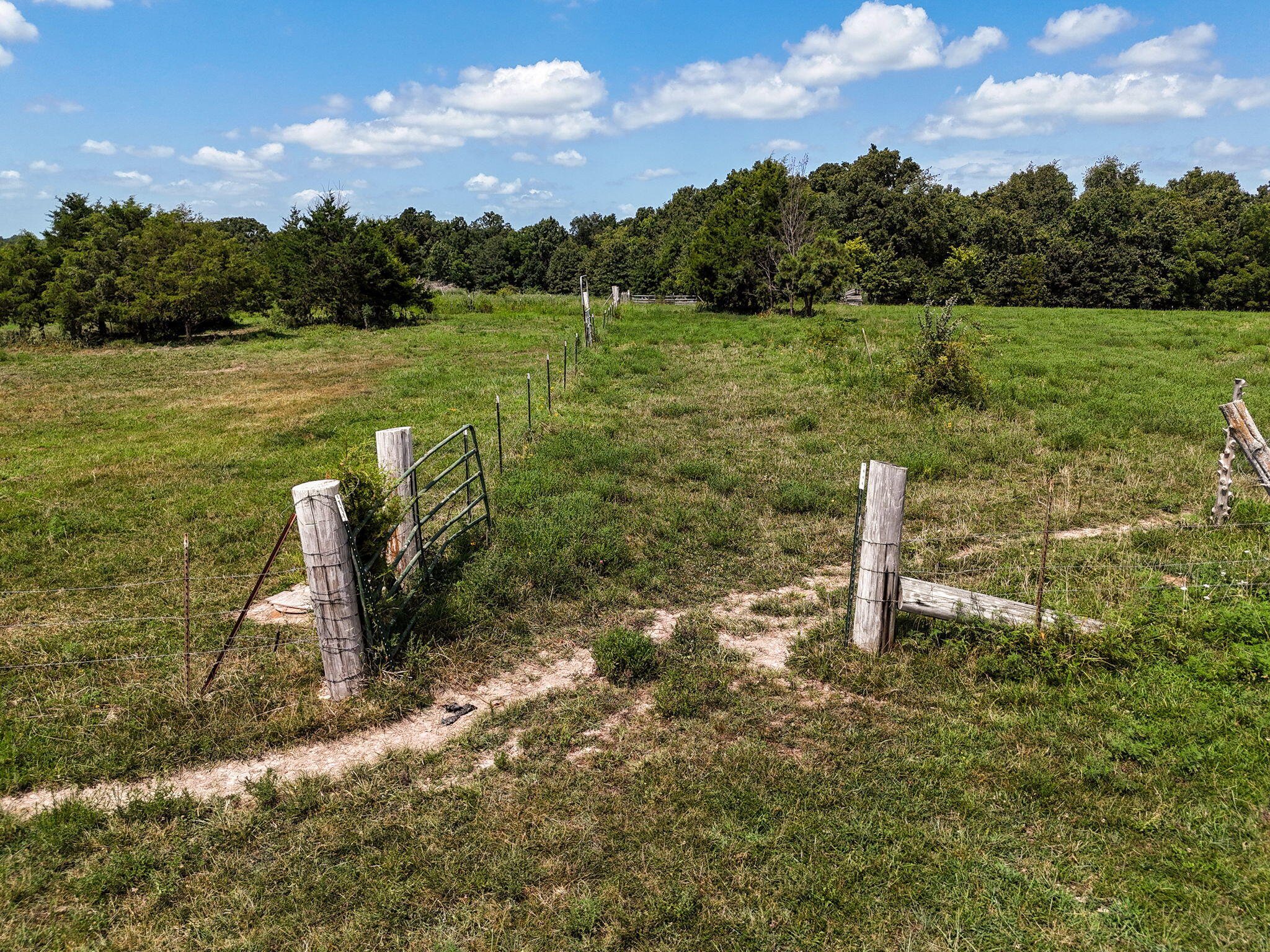 419 Rose Bud Drive Property Photo 19