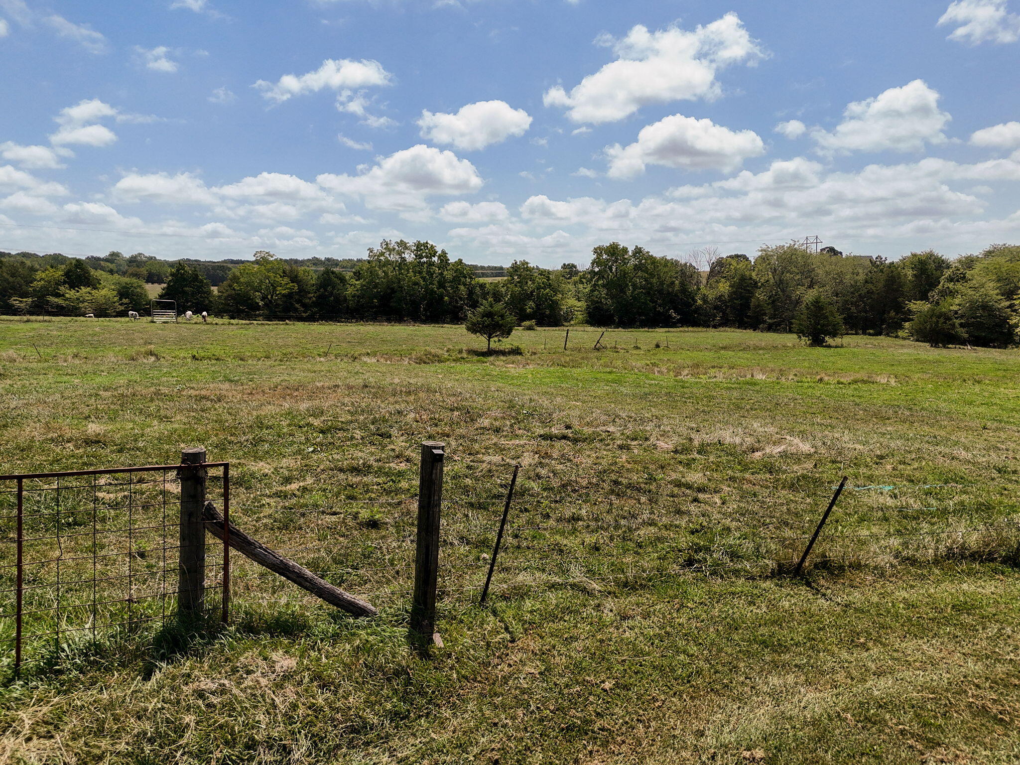419 Rose Bud Drive Property Photo 51