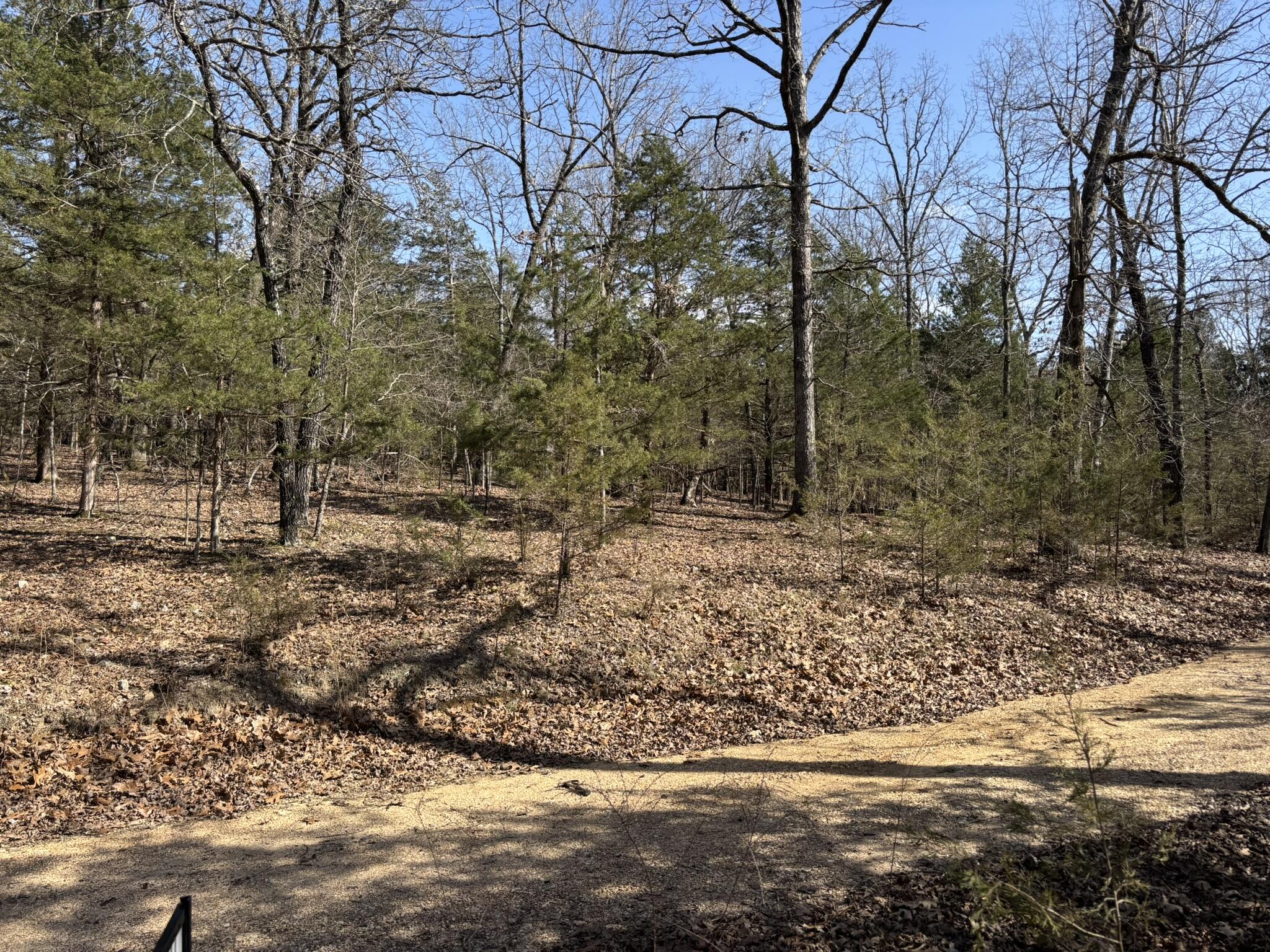 299 Mushroom Lane Property Photo 11