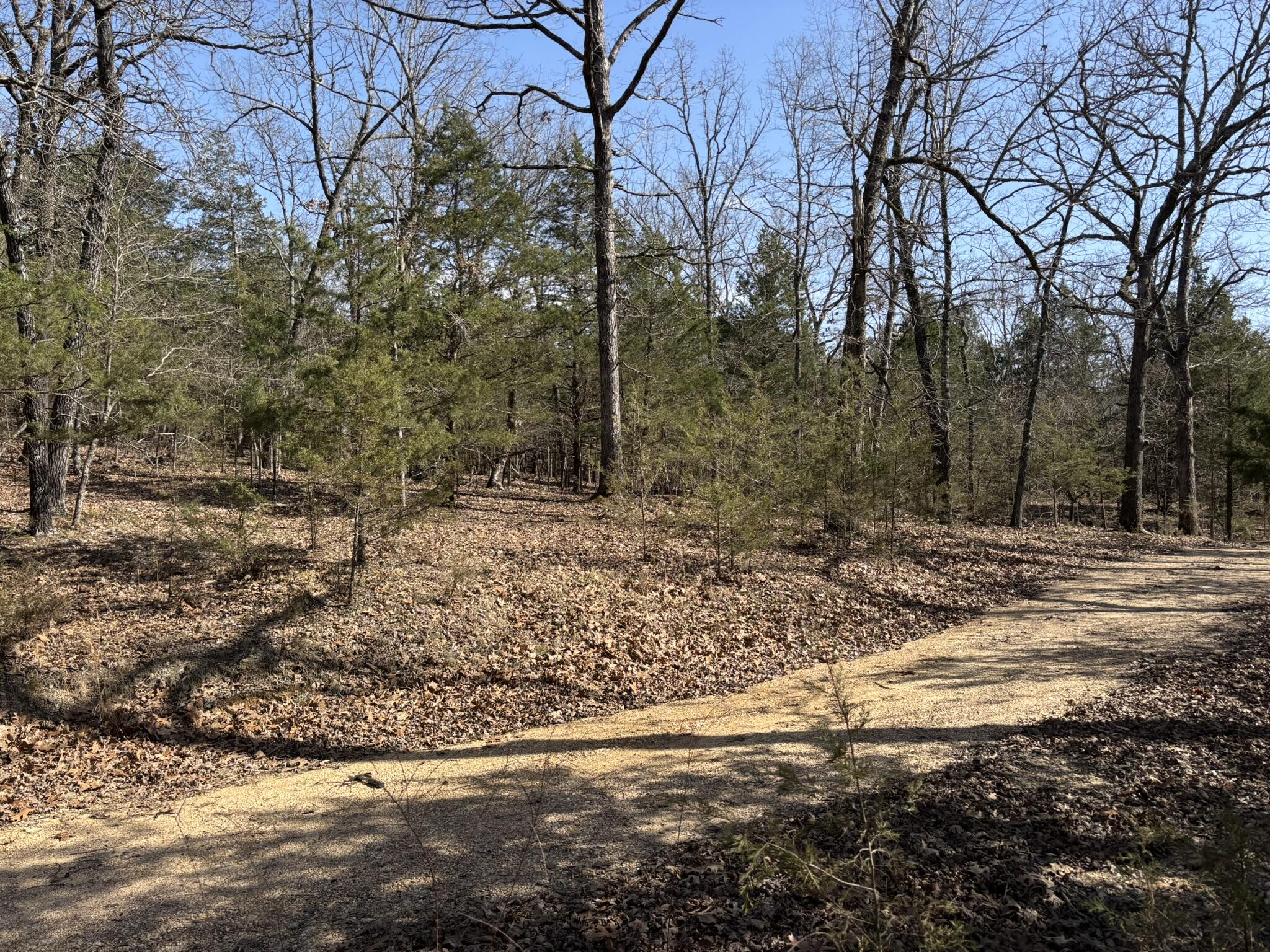 299 Mushroom Lane Property Photo 12
