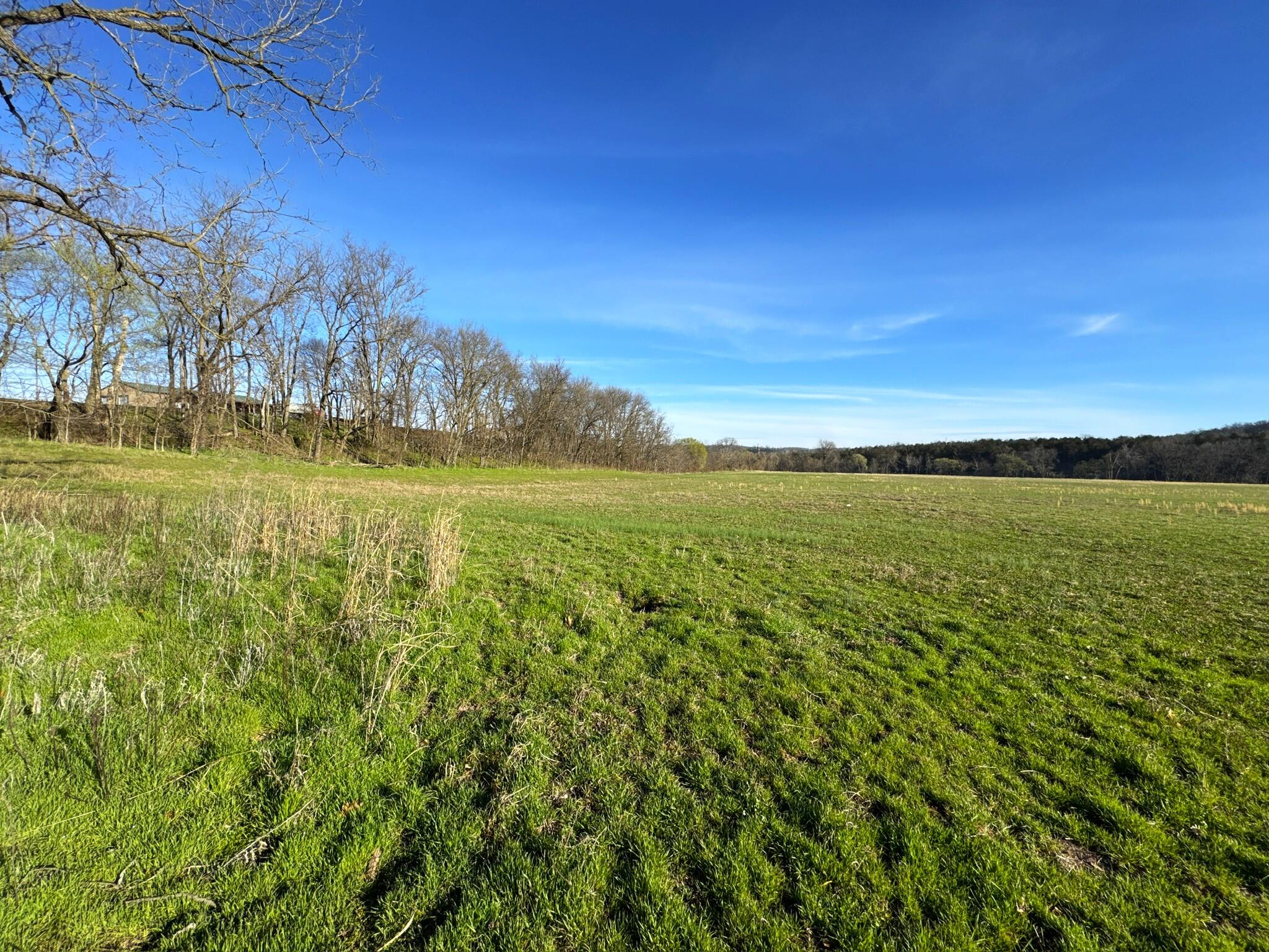 000 State Highway 90 Property Photo 14