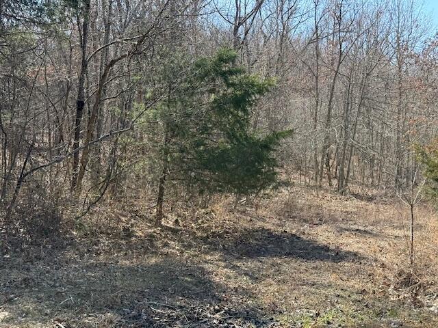15141 County Road 432a Property Photo 26