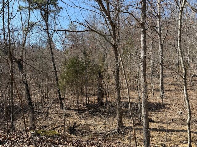 15141 County Road 432a Property Photo 32