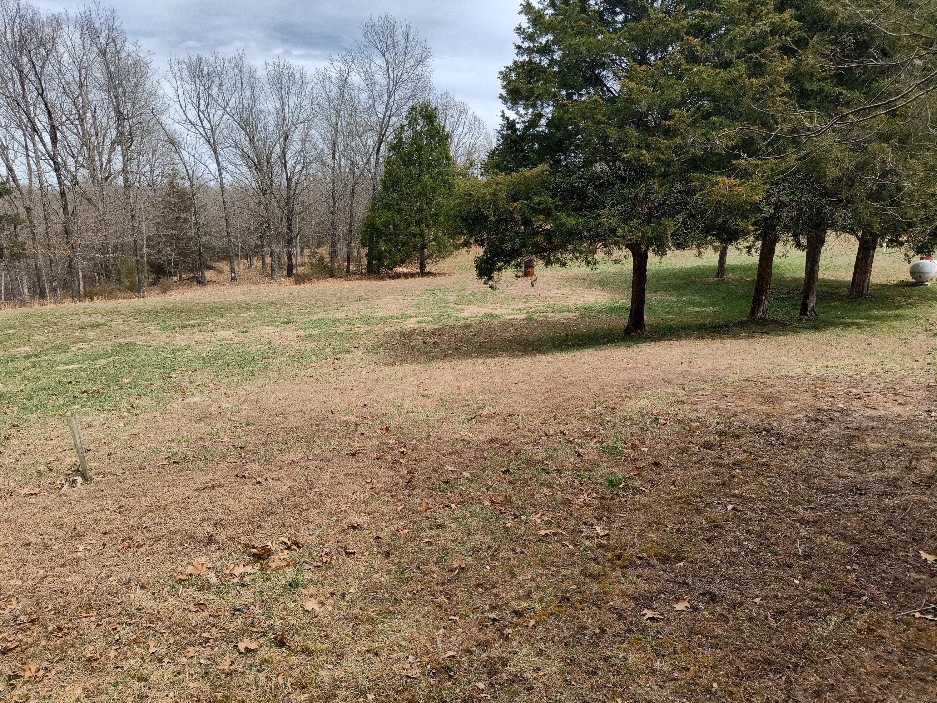 31 Schieler Ln. Property Photo 26