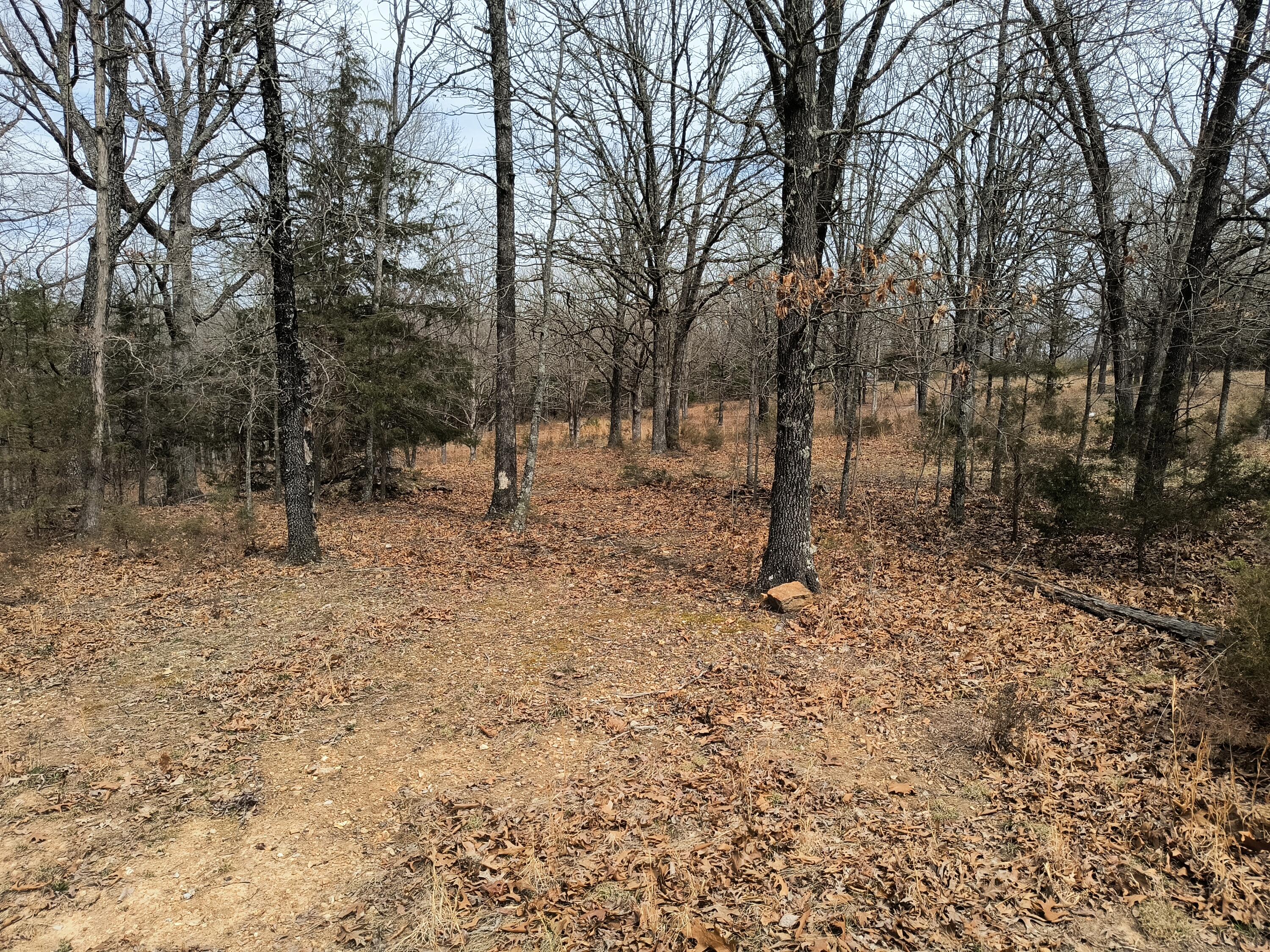 31 Schieler Ln. Property Photo 27