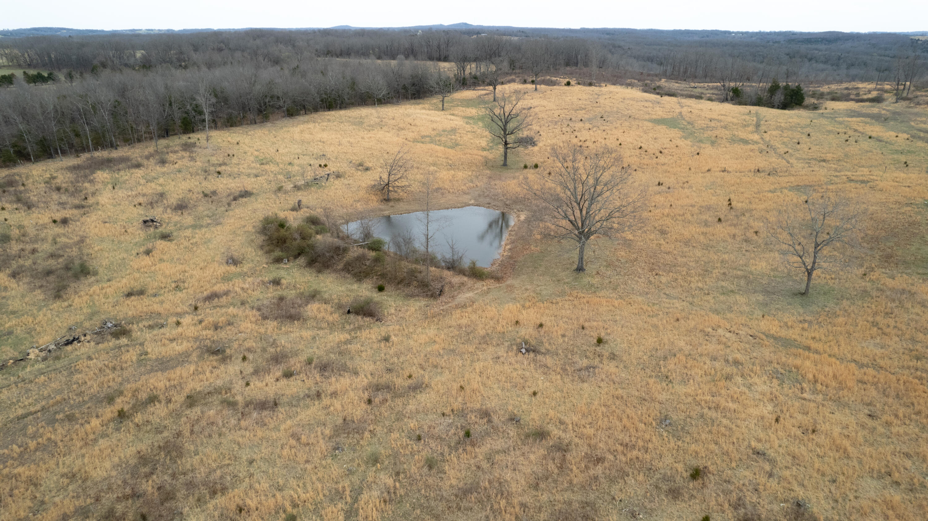 1032 County Road Property Photo 9