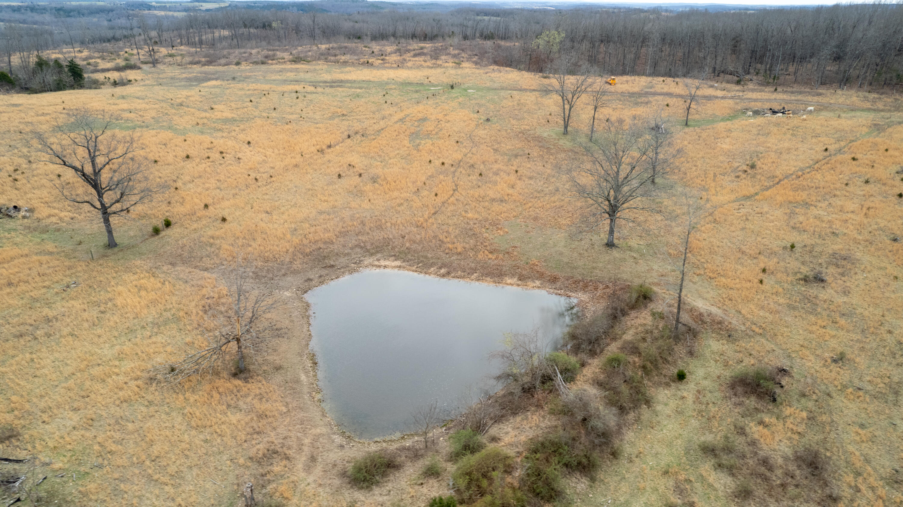 1032 County Road Property Photo 10