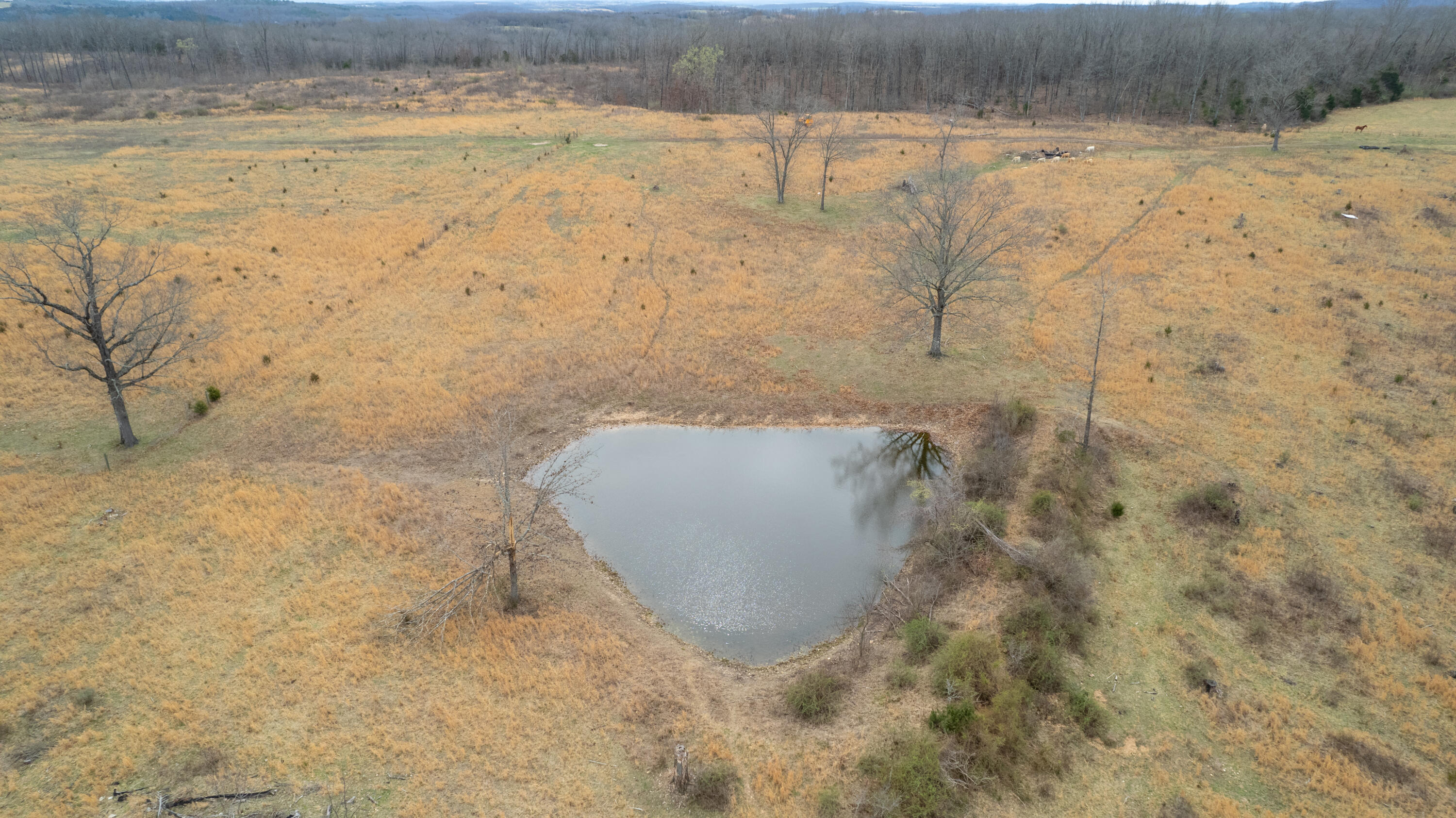1032 County Road Property Photo 11