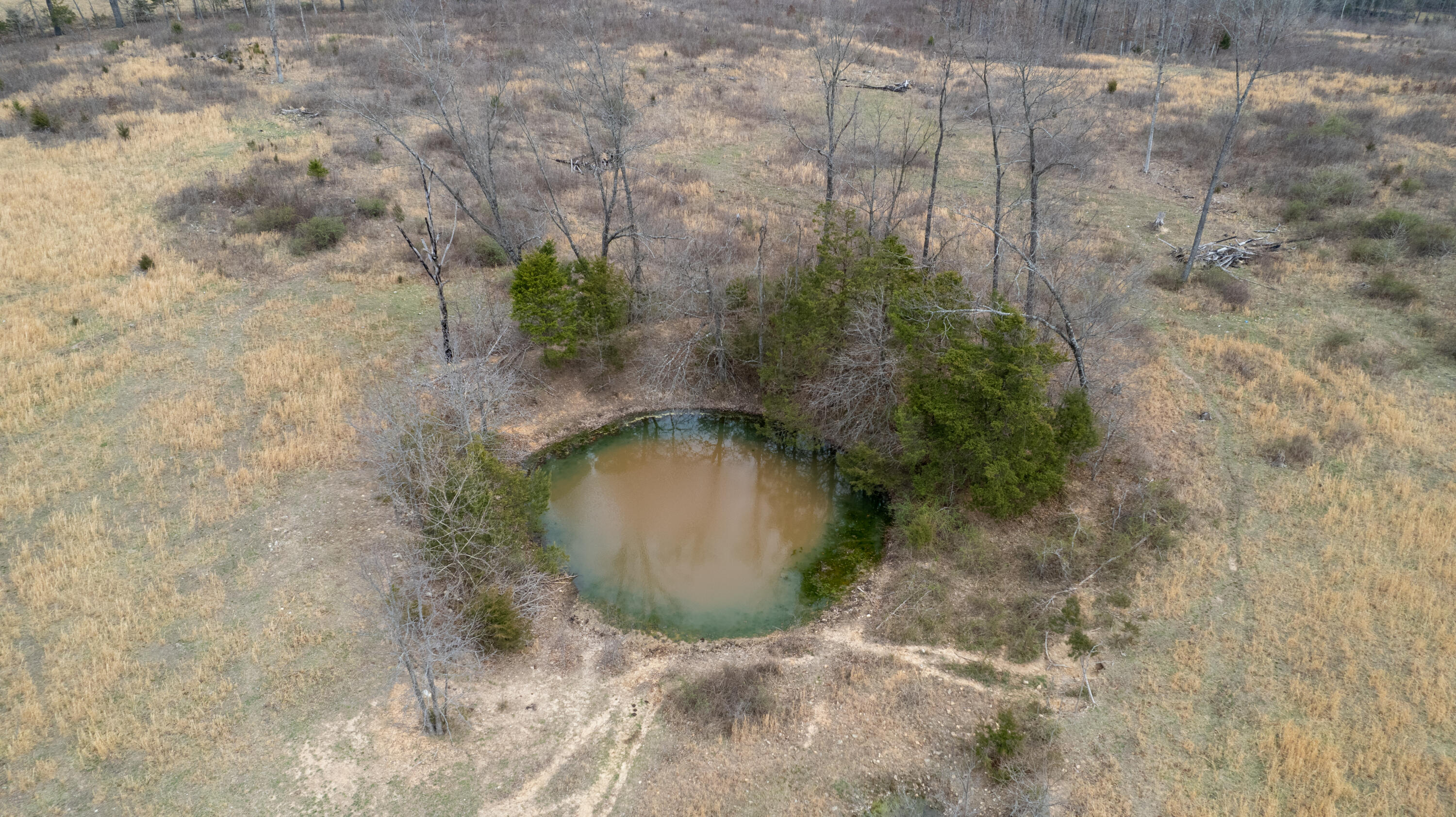 1032 County Road Property Photo 14