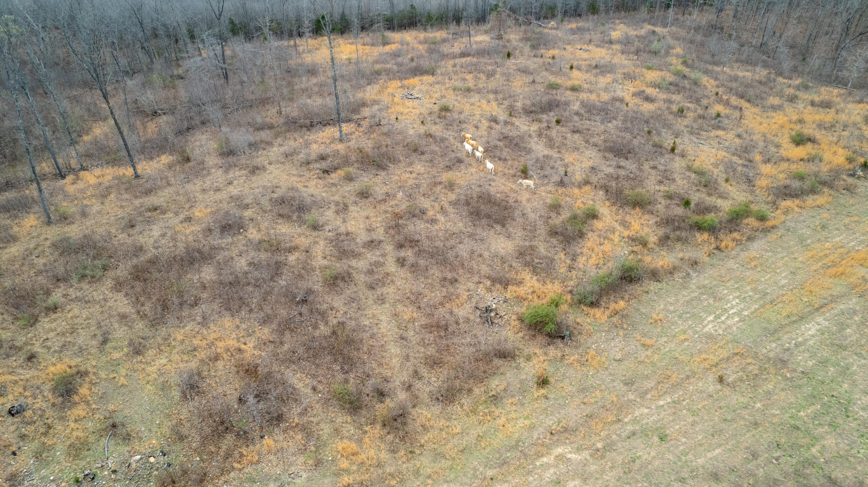 1032 County Road Property Photo 15