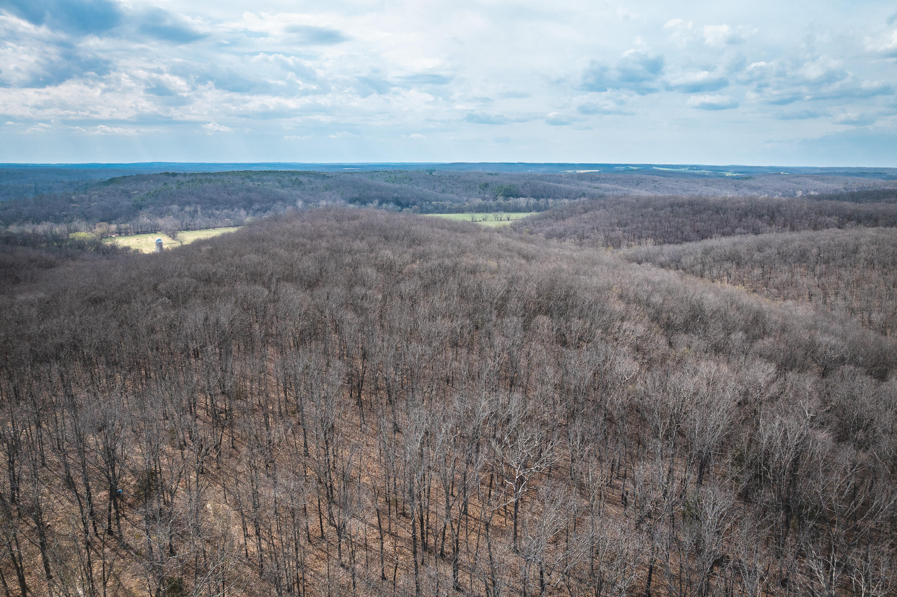 11175 Highway 68 Property Photo 15
