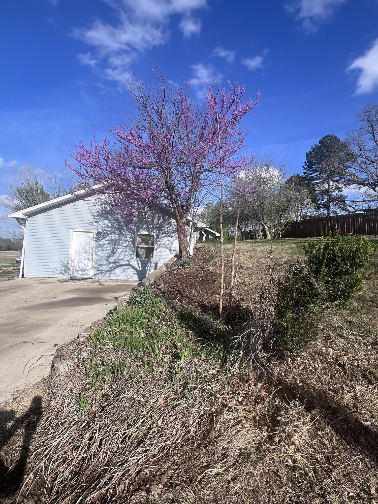 208 North Julie Avenue Property Photo 64