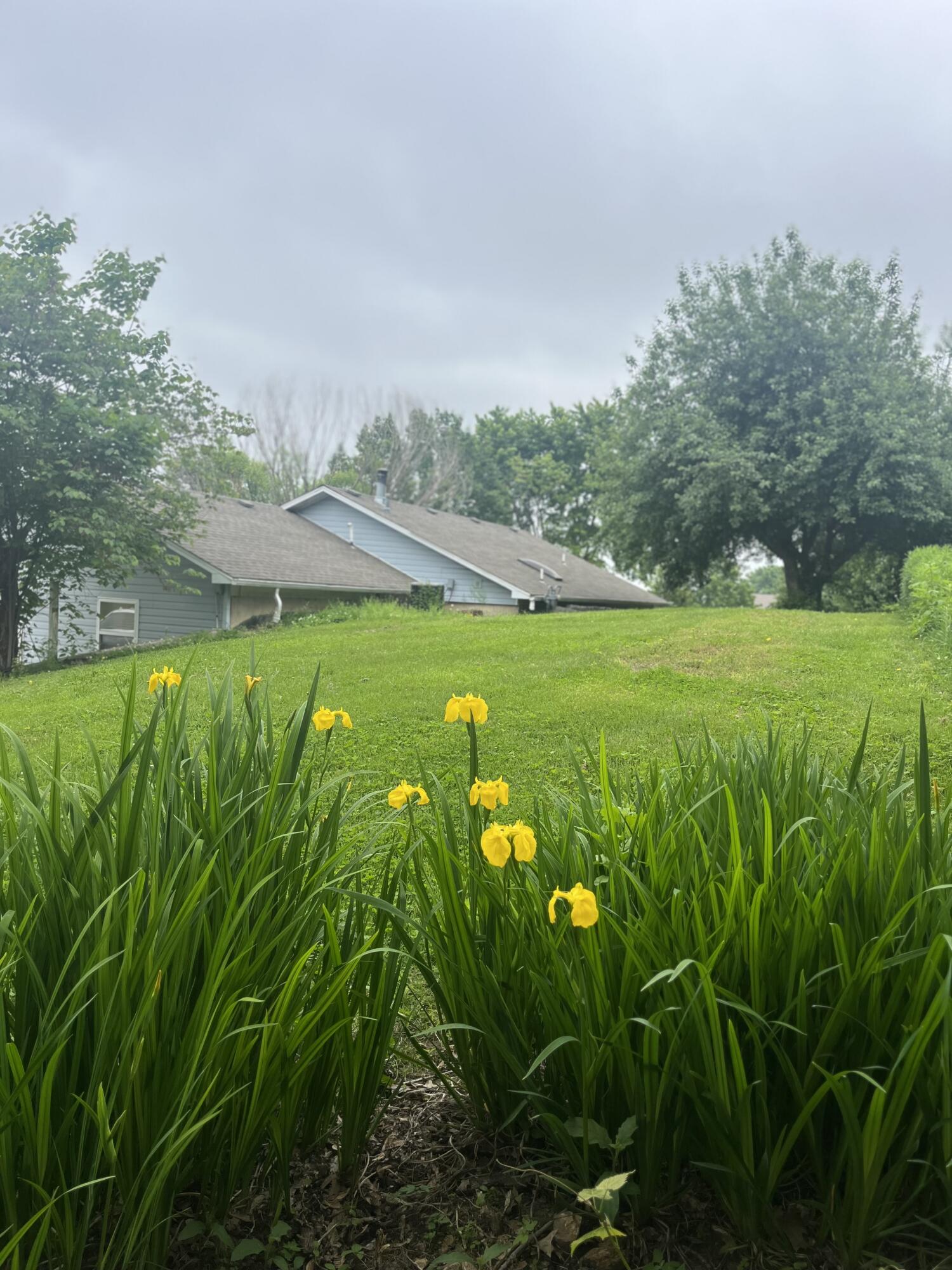 208 North Julie Avenue Property Photo 68