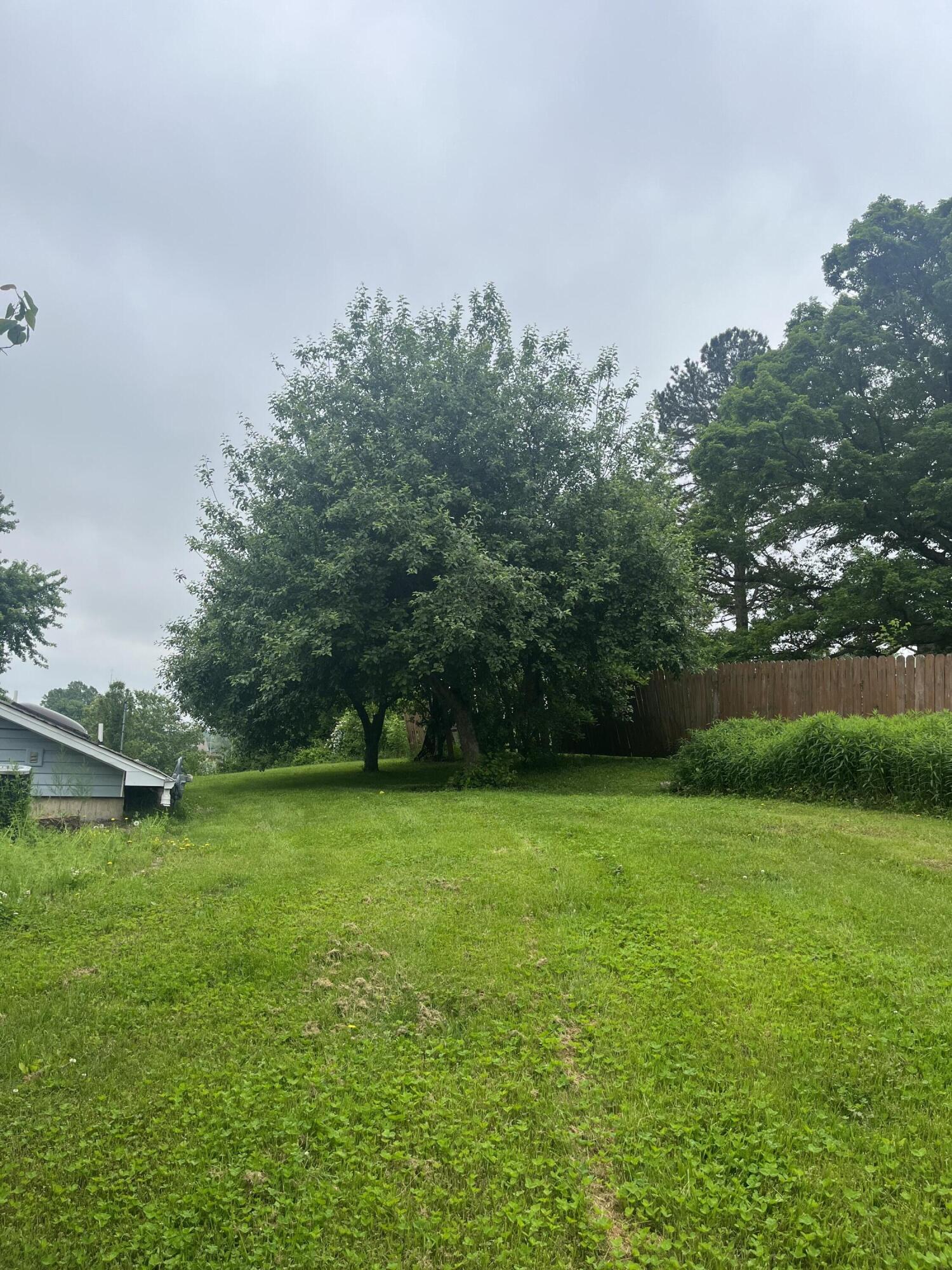 208 North Julie Avenue Property Photo 72